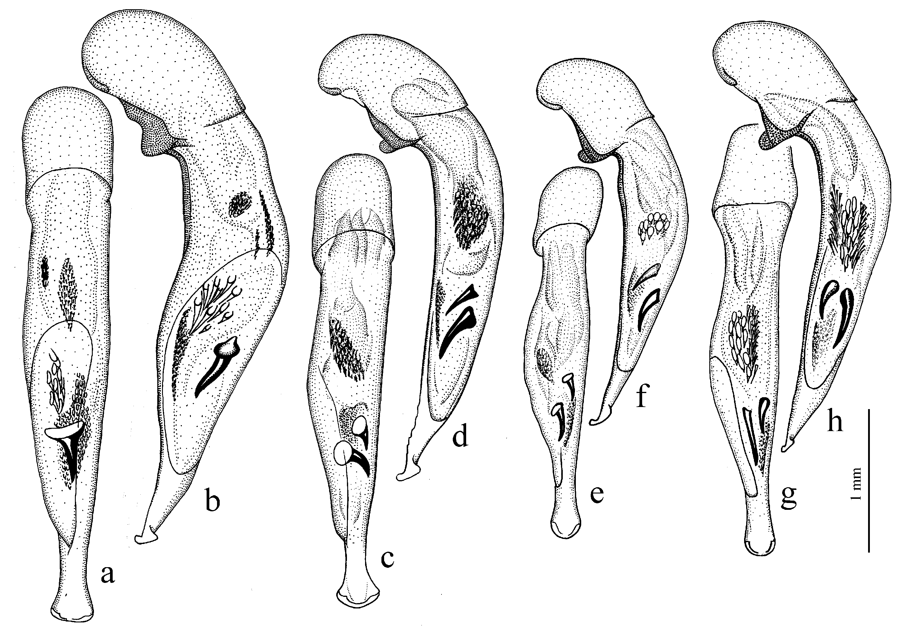 Diversity 15 00971 g035