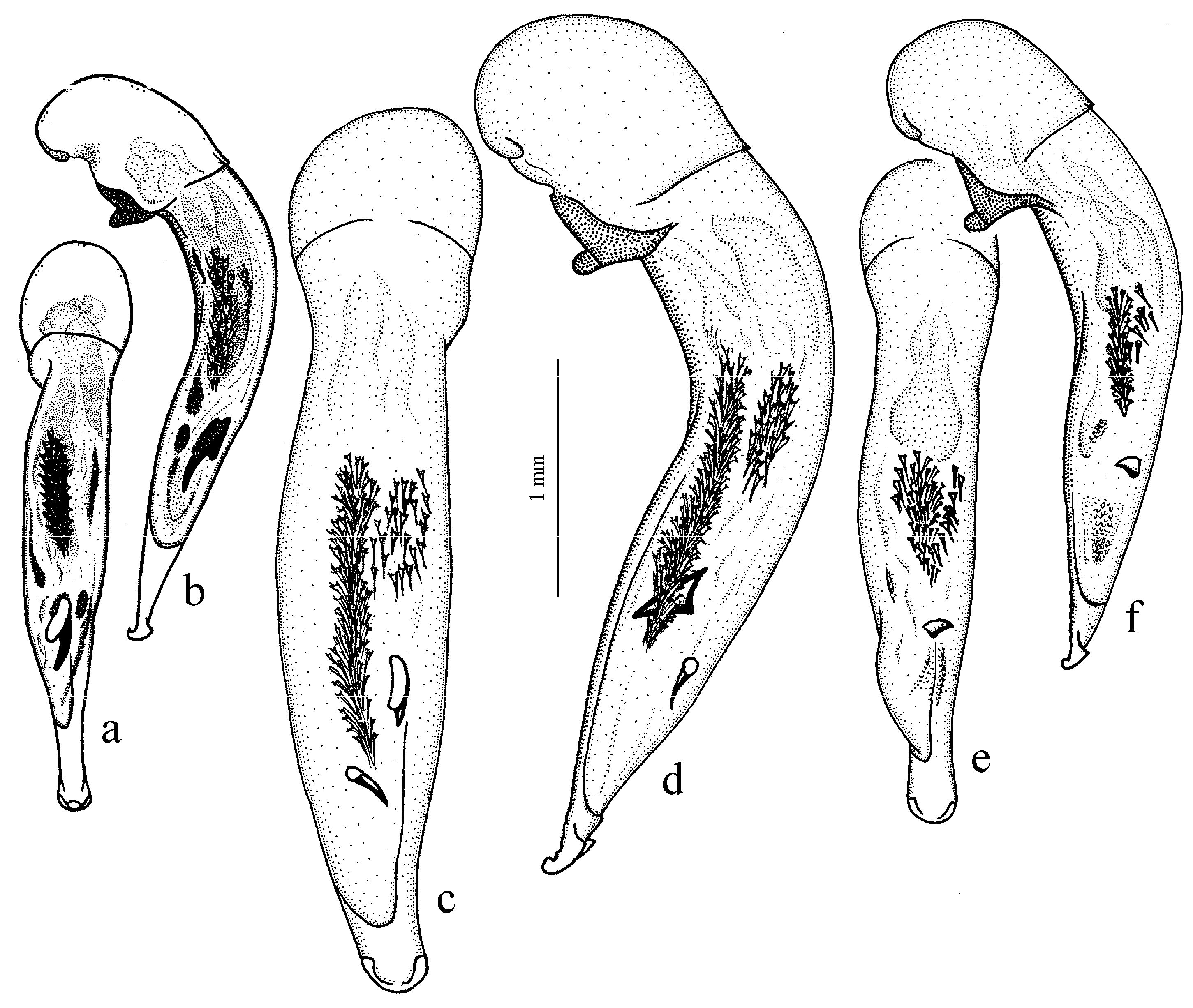 Diversity 15 00971 g038