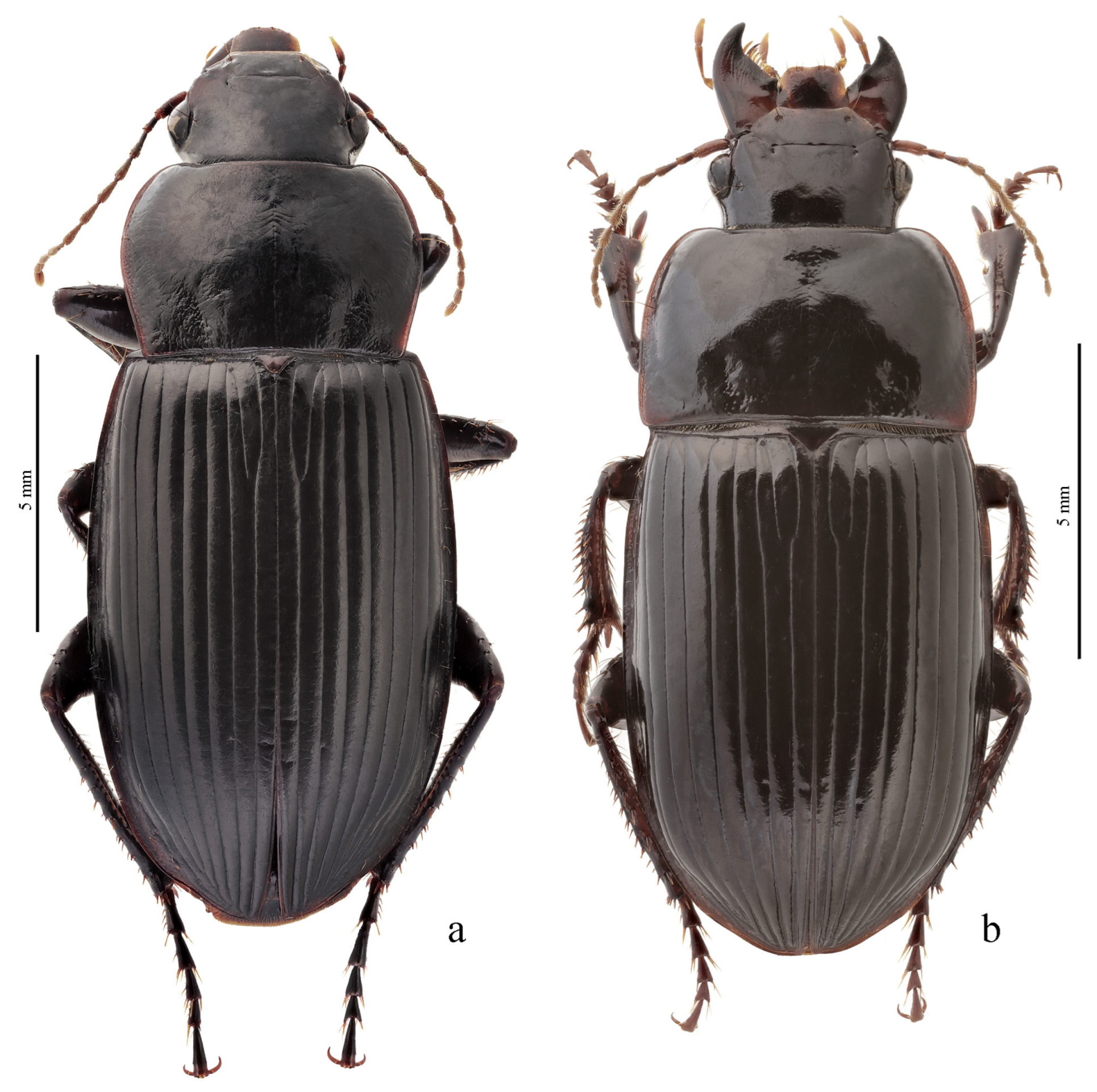 Diversity 15 00971 g039