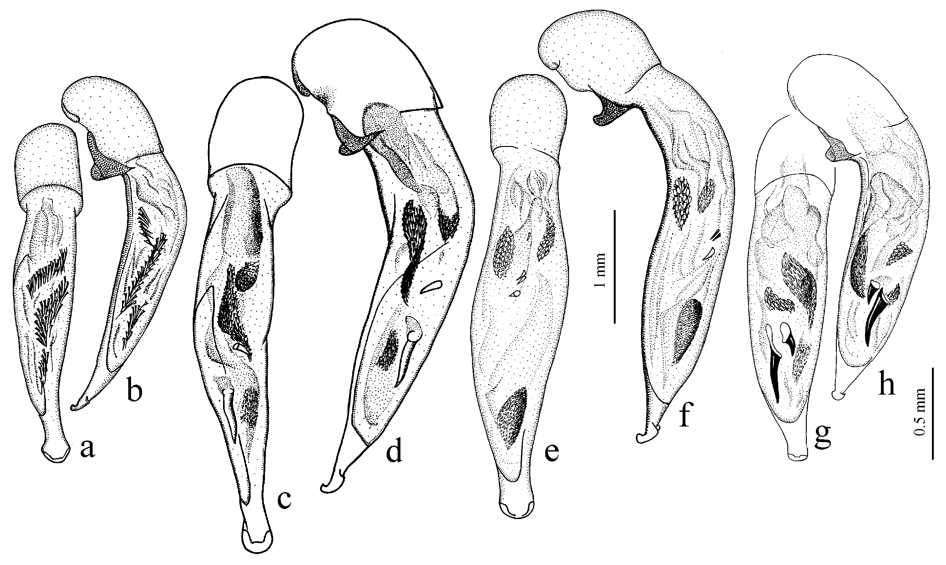 Diversity 15 00971 g040