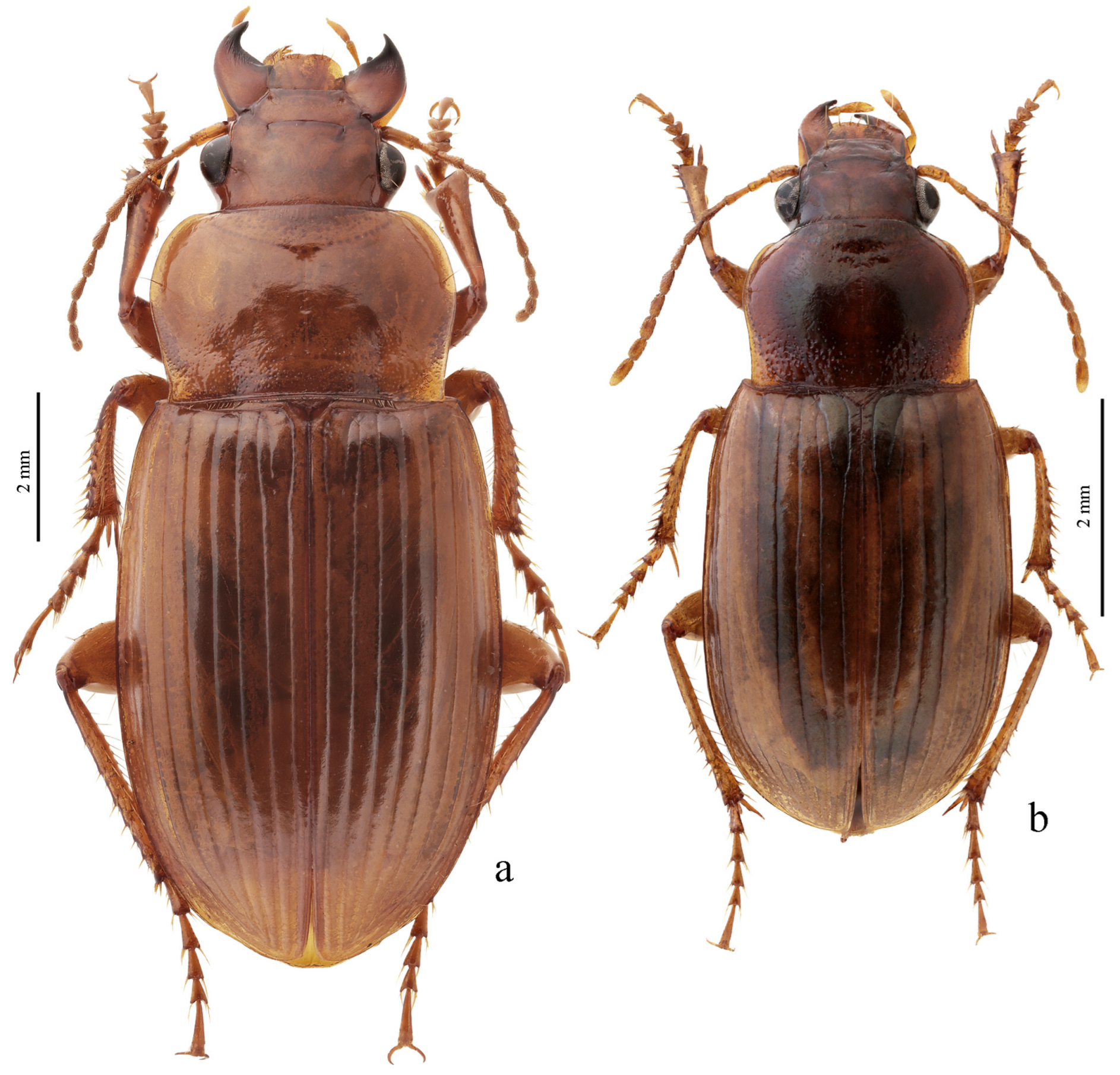 Diversity 15 00971 g041