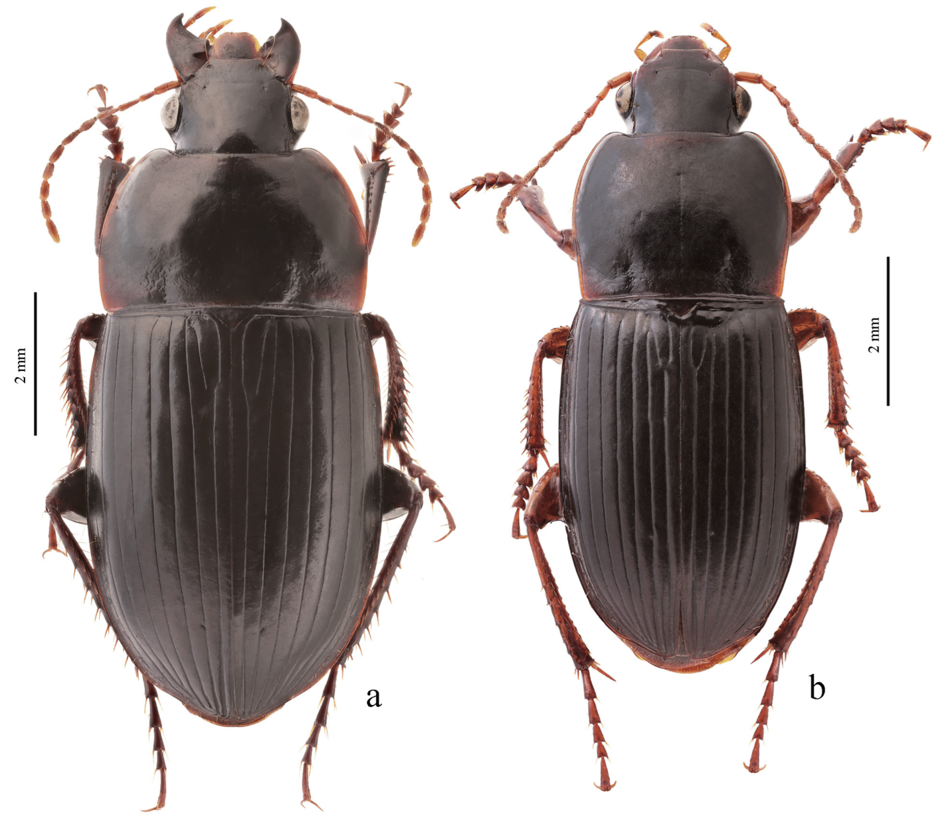 Diversity 15 00971 g042