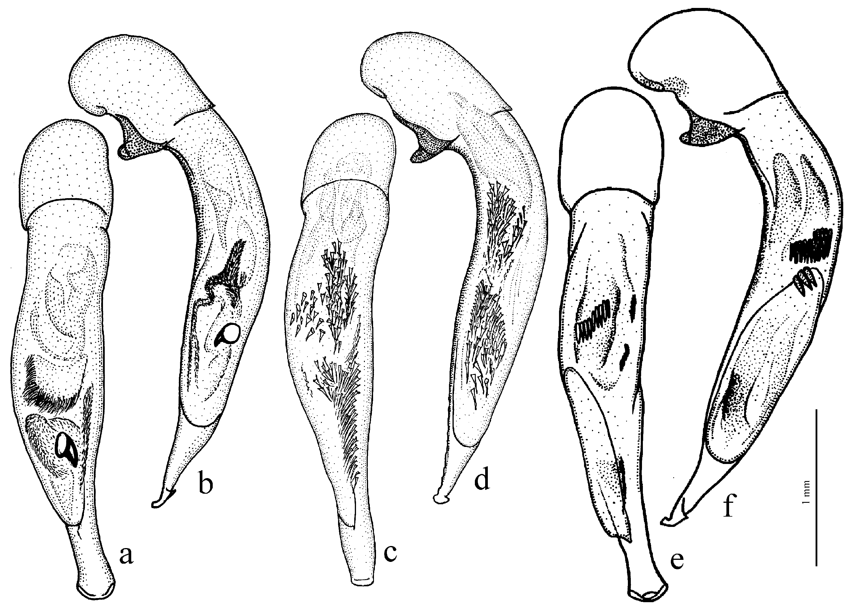 Diversity 15 00971 g045