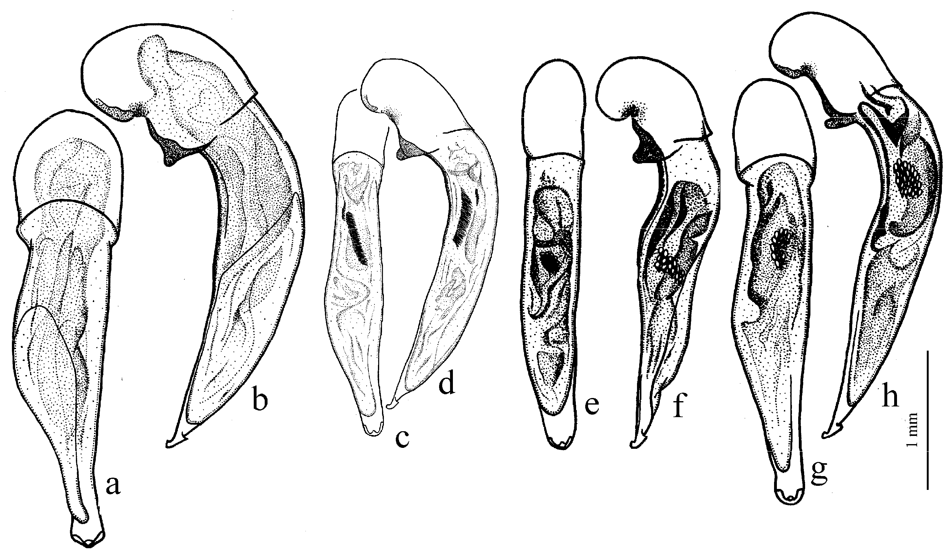 Diversity 15 00971 g047