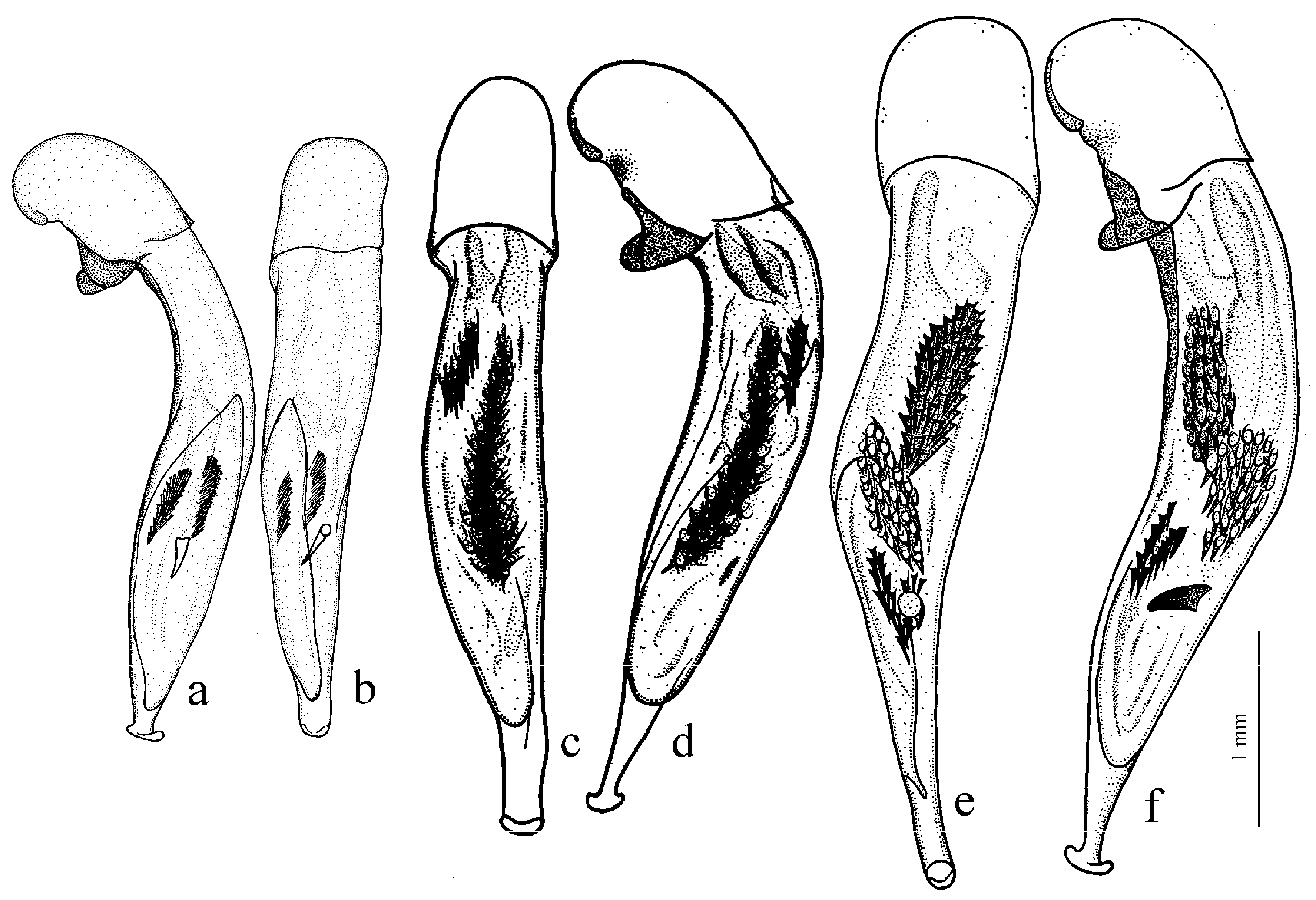 Diversity 15 00971 g050
