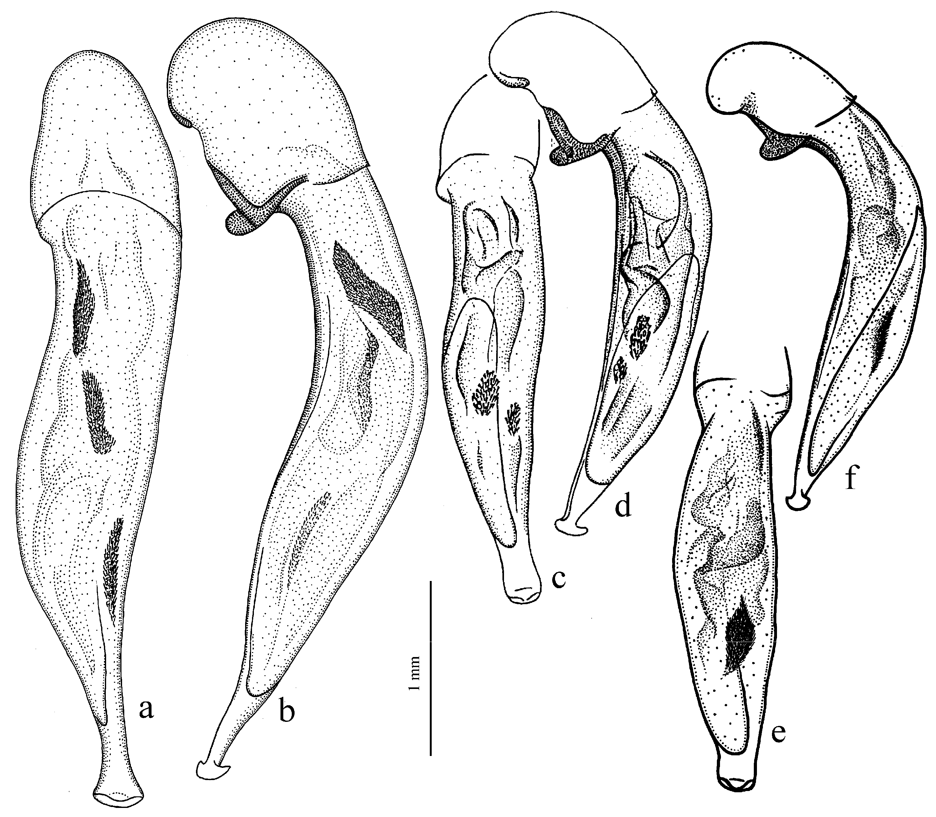 Diversity 15 00971 g052