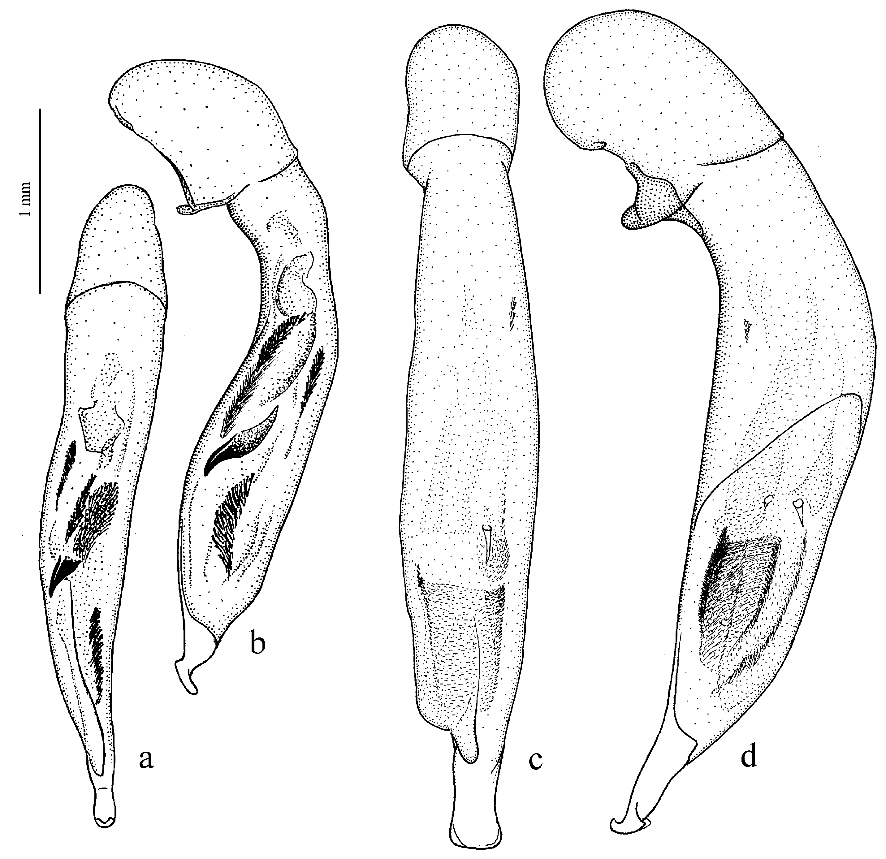 Diversity 15 00971 g056