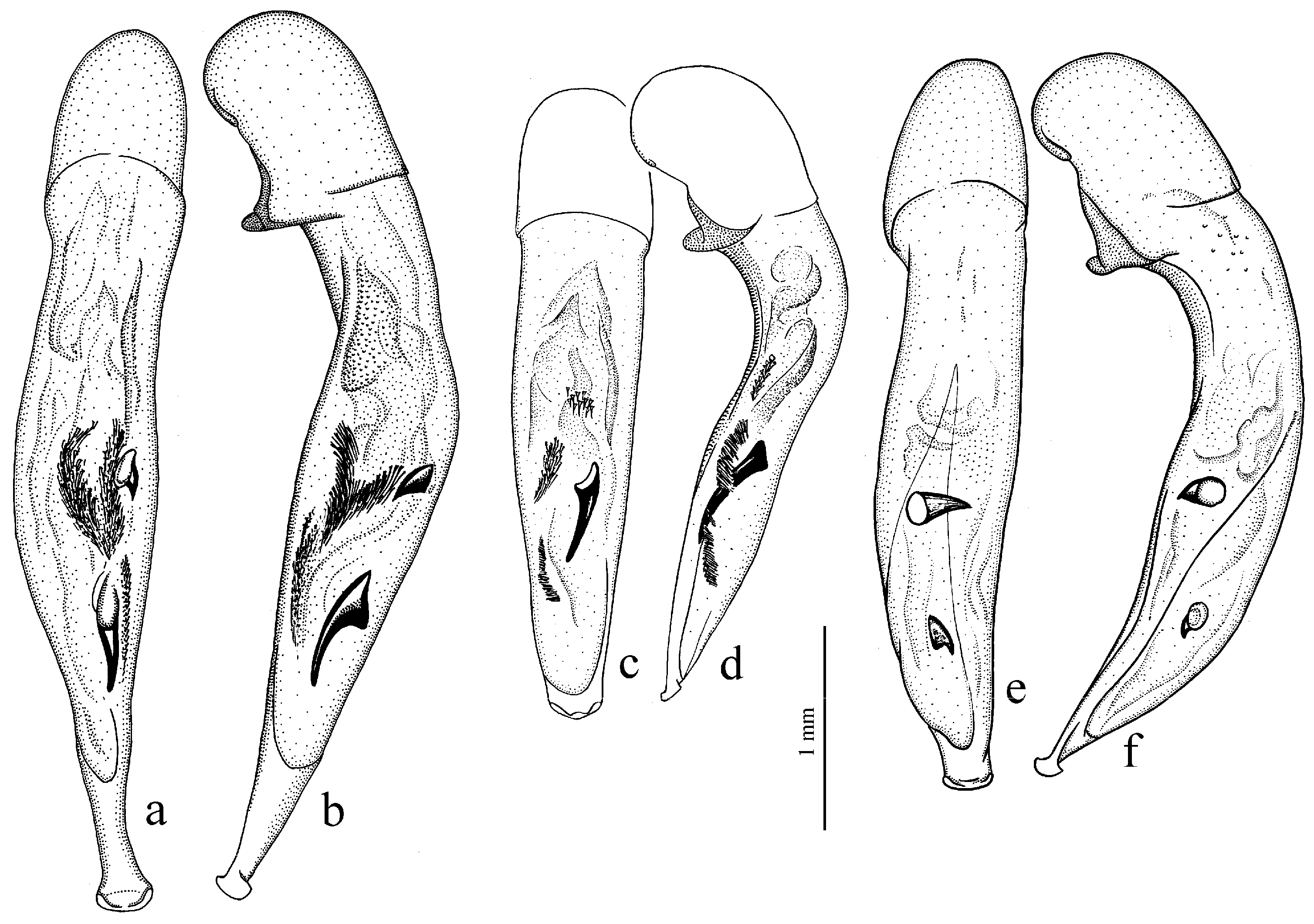 Diversity 15 00971 g058