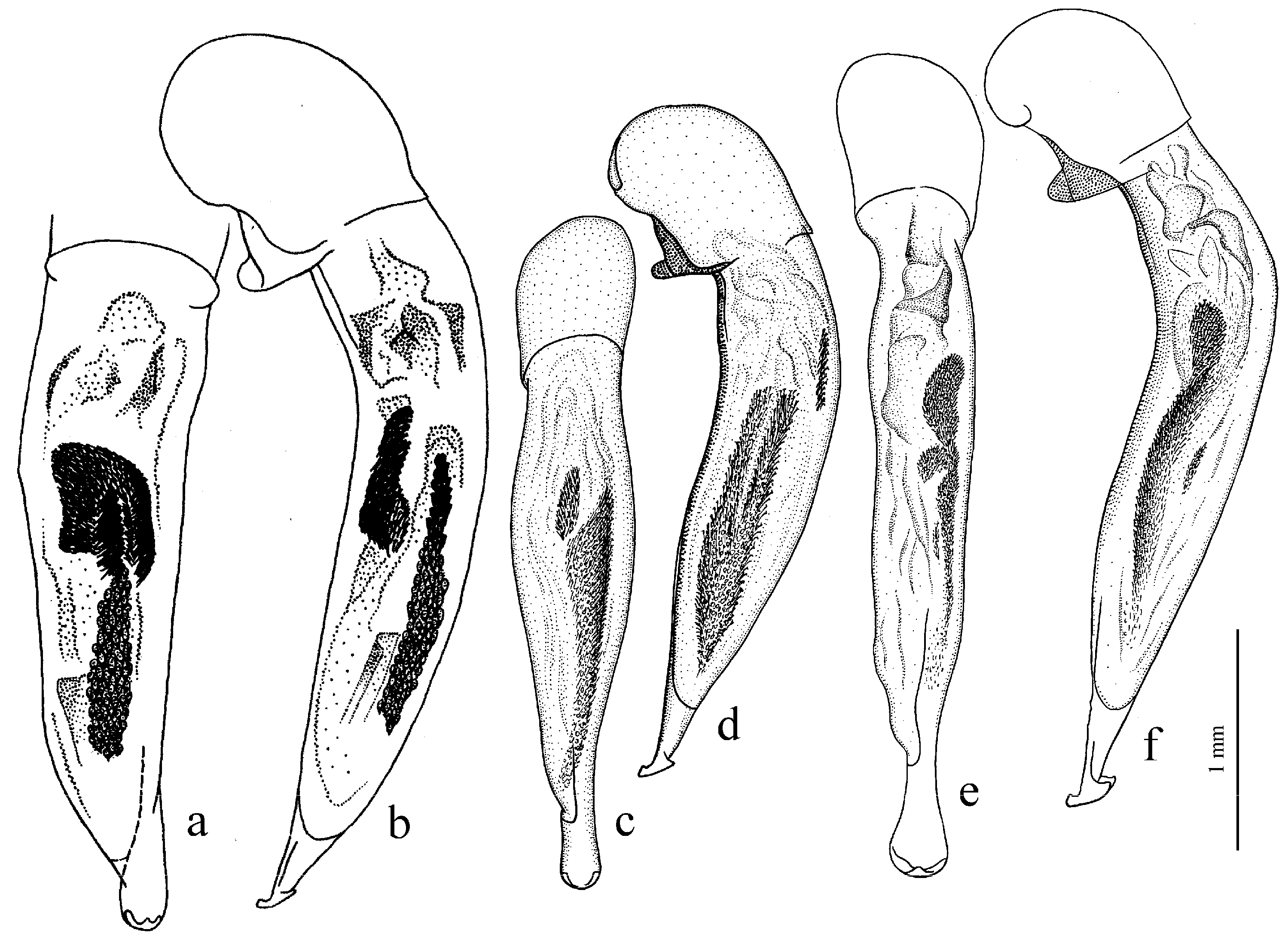 Diversity 15 00971 g061