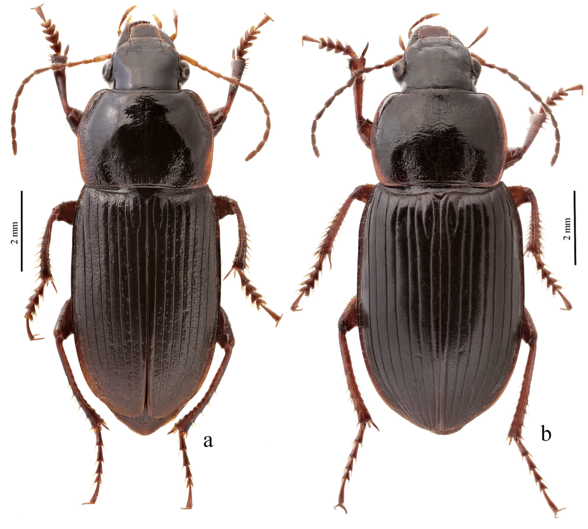 Diversity 15 00971 g068