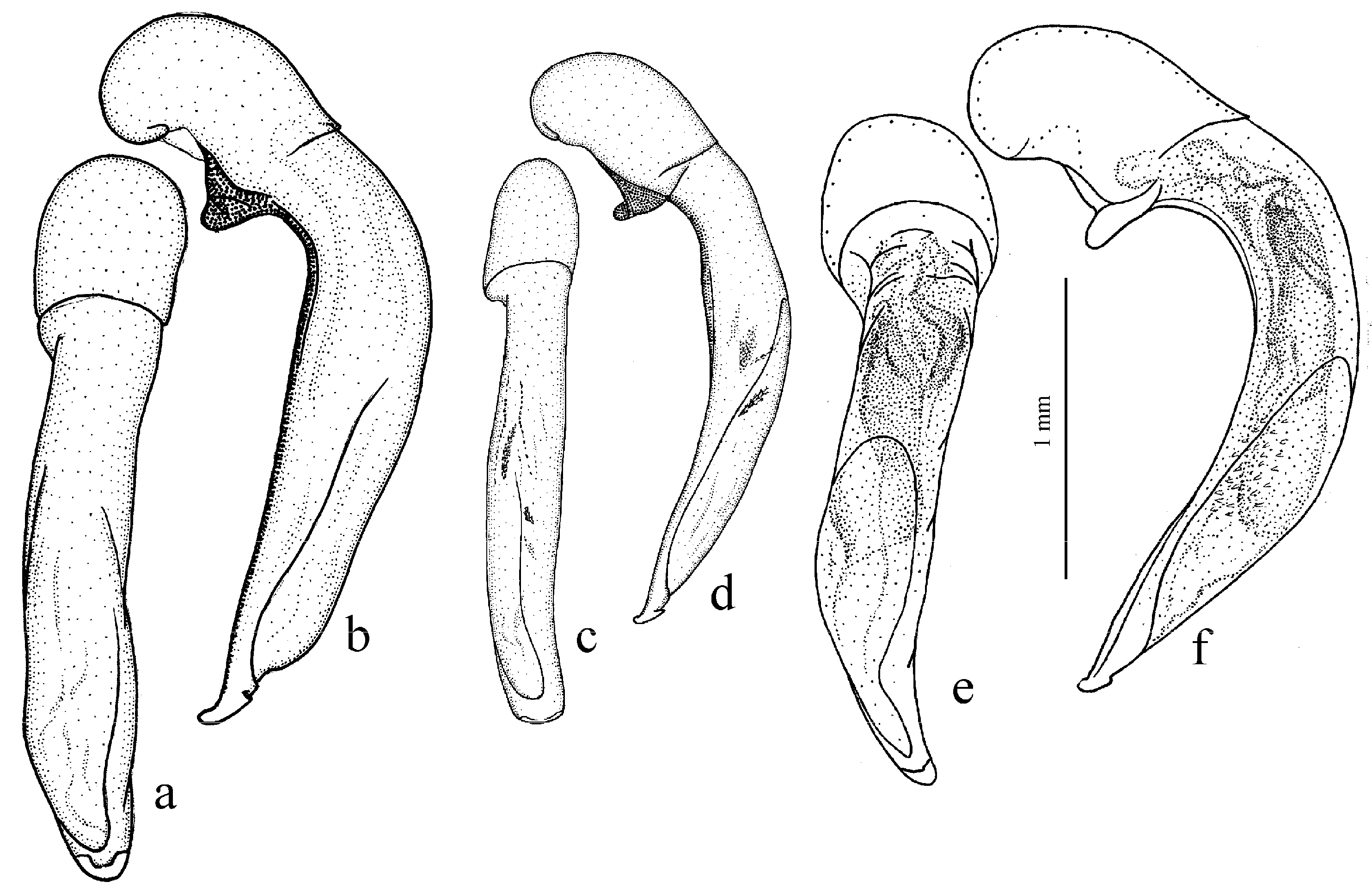 Diversity 15 00971 g070