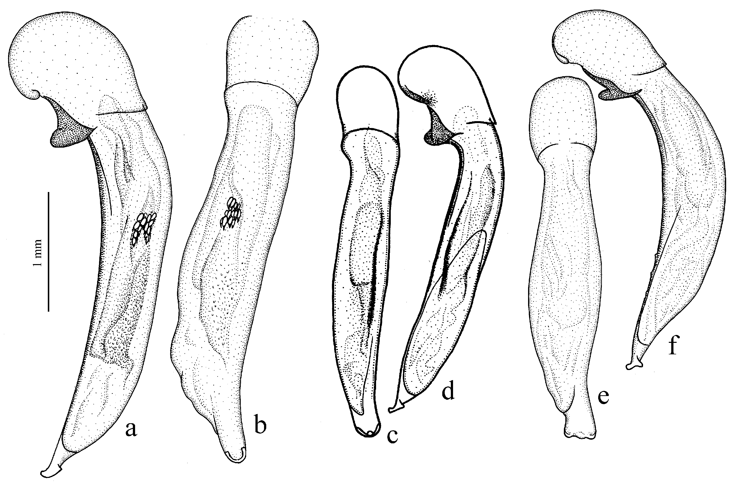Diversity 15 00971 g072