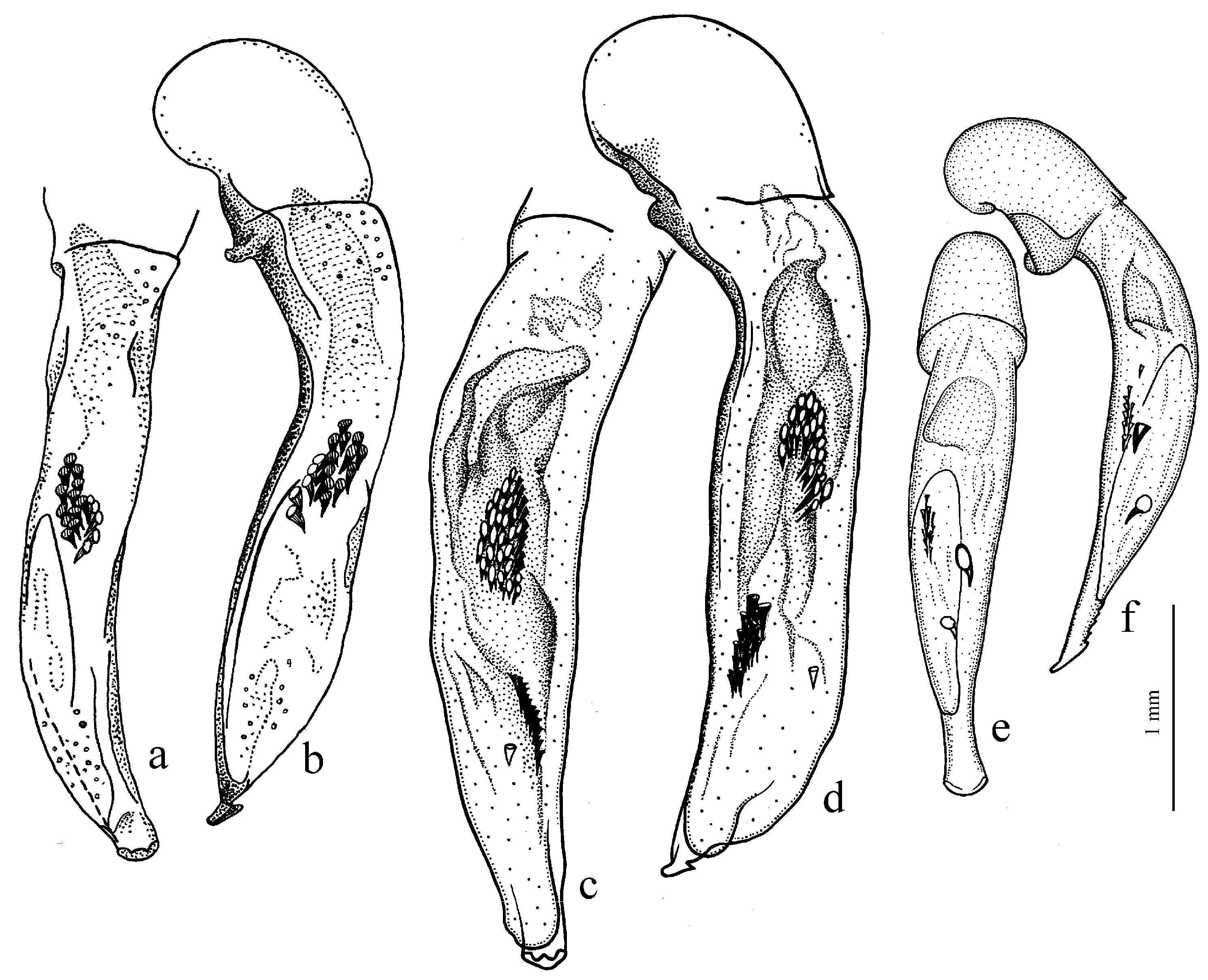 Diversity 15 00971 g076
