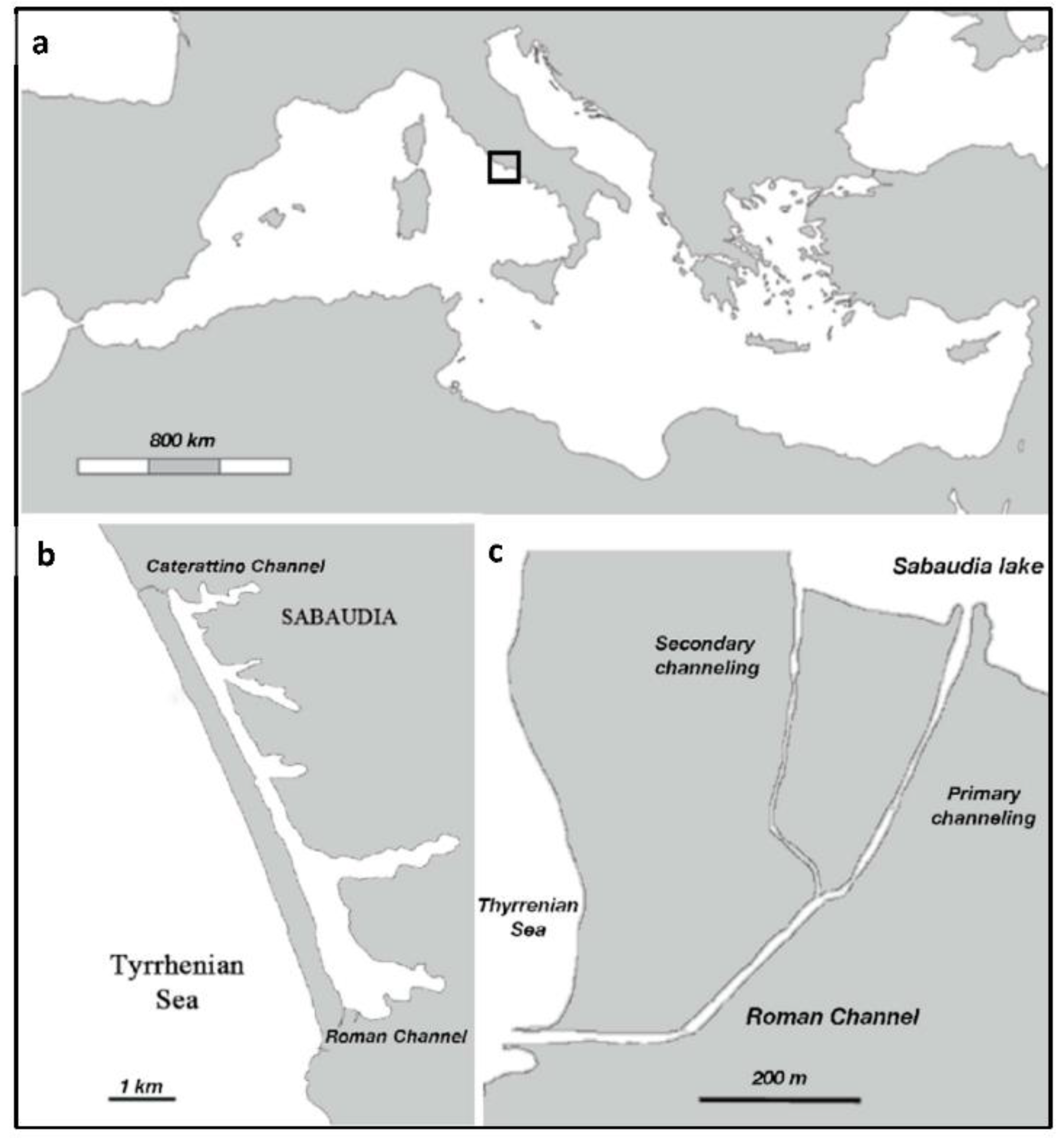 Diversity 15 00972 g001
