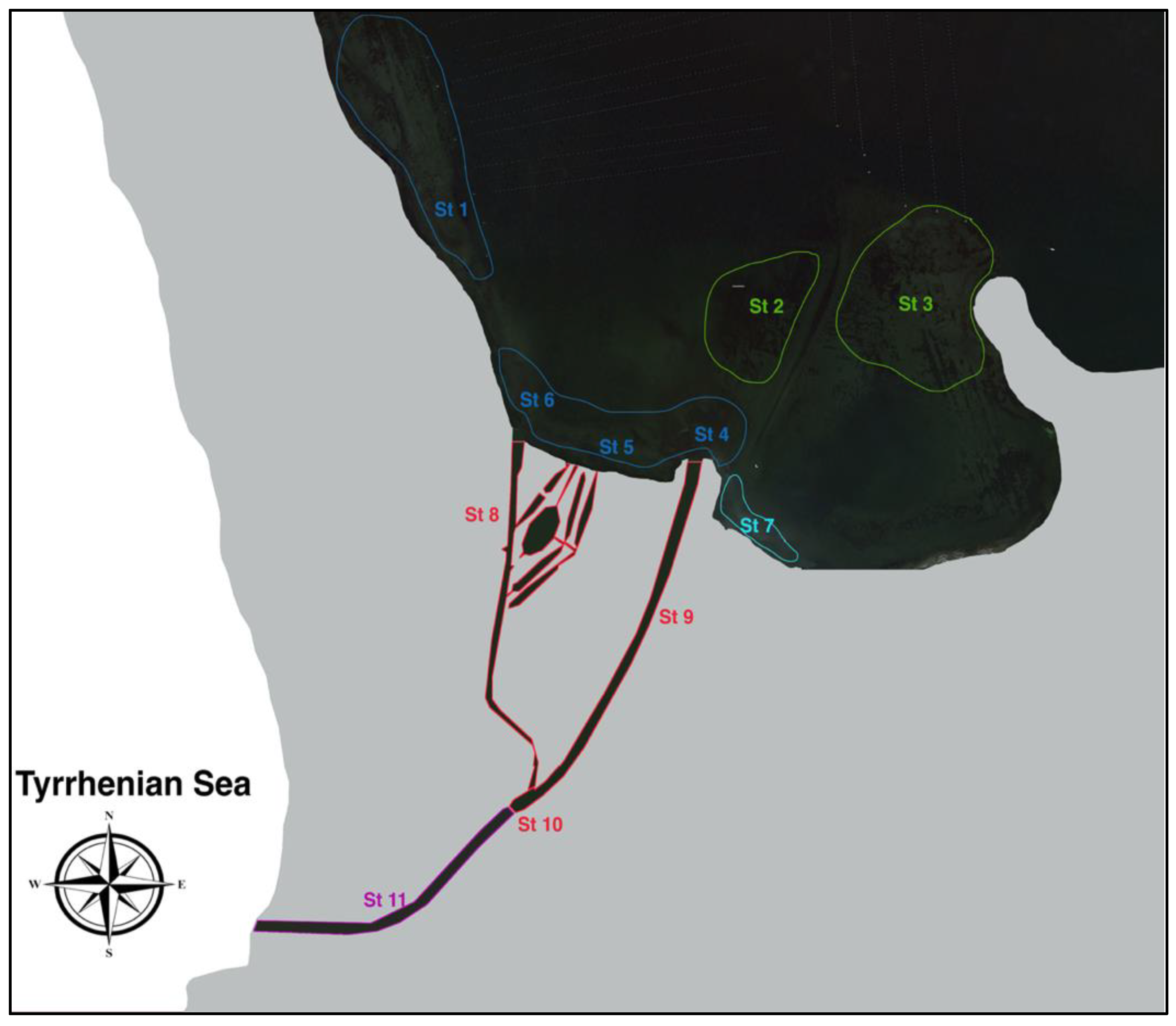 Diversity 15 00972 g002