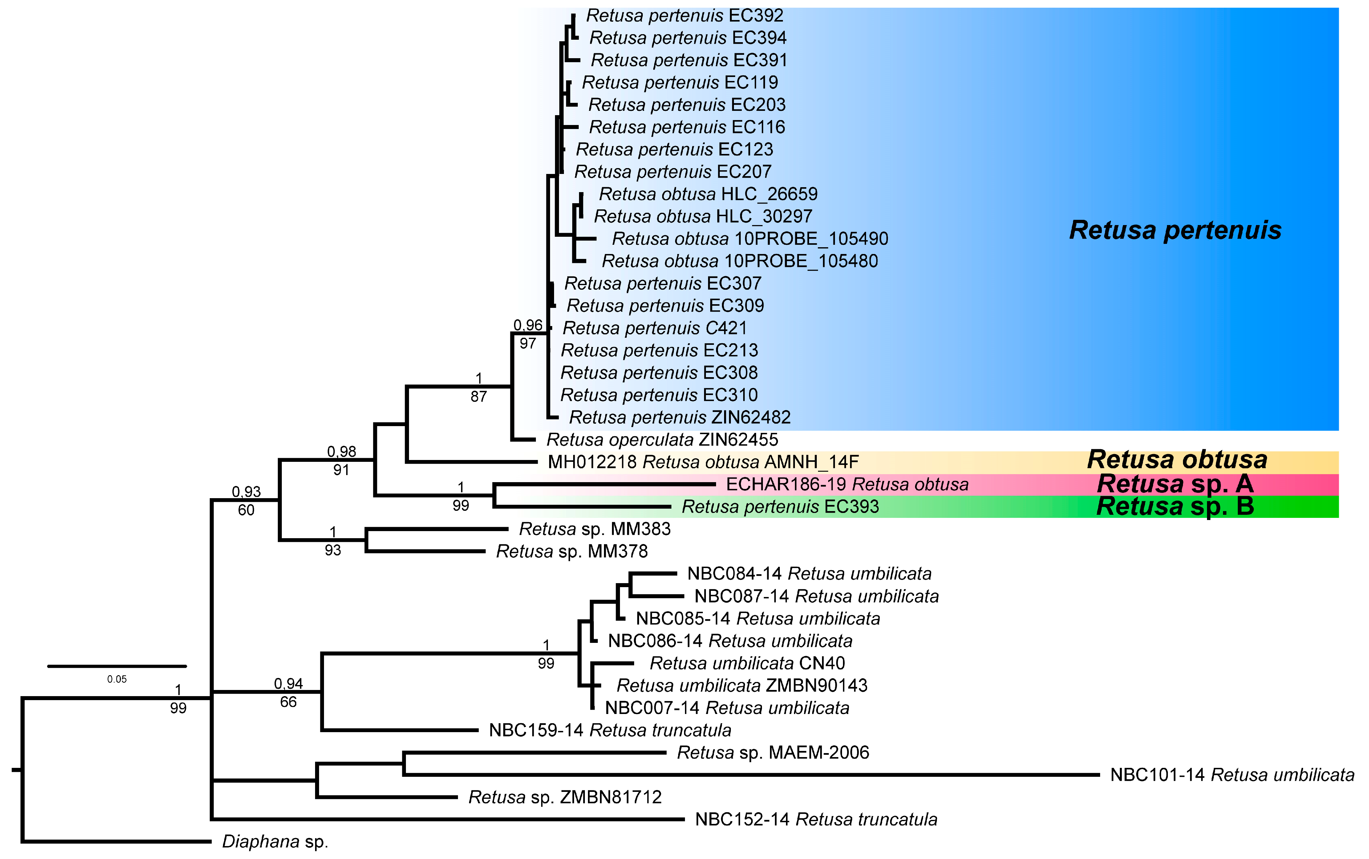 Diversity 15 00974 g002