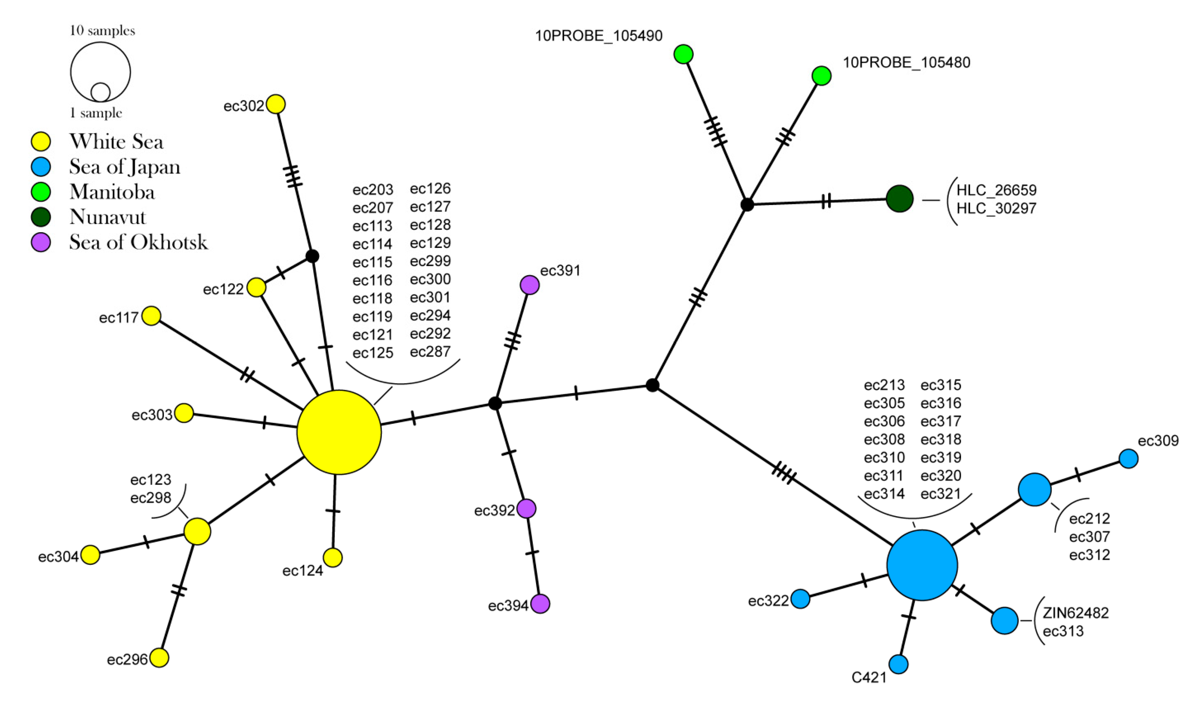Diversity 15 00974 g003
