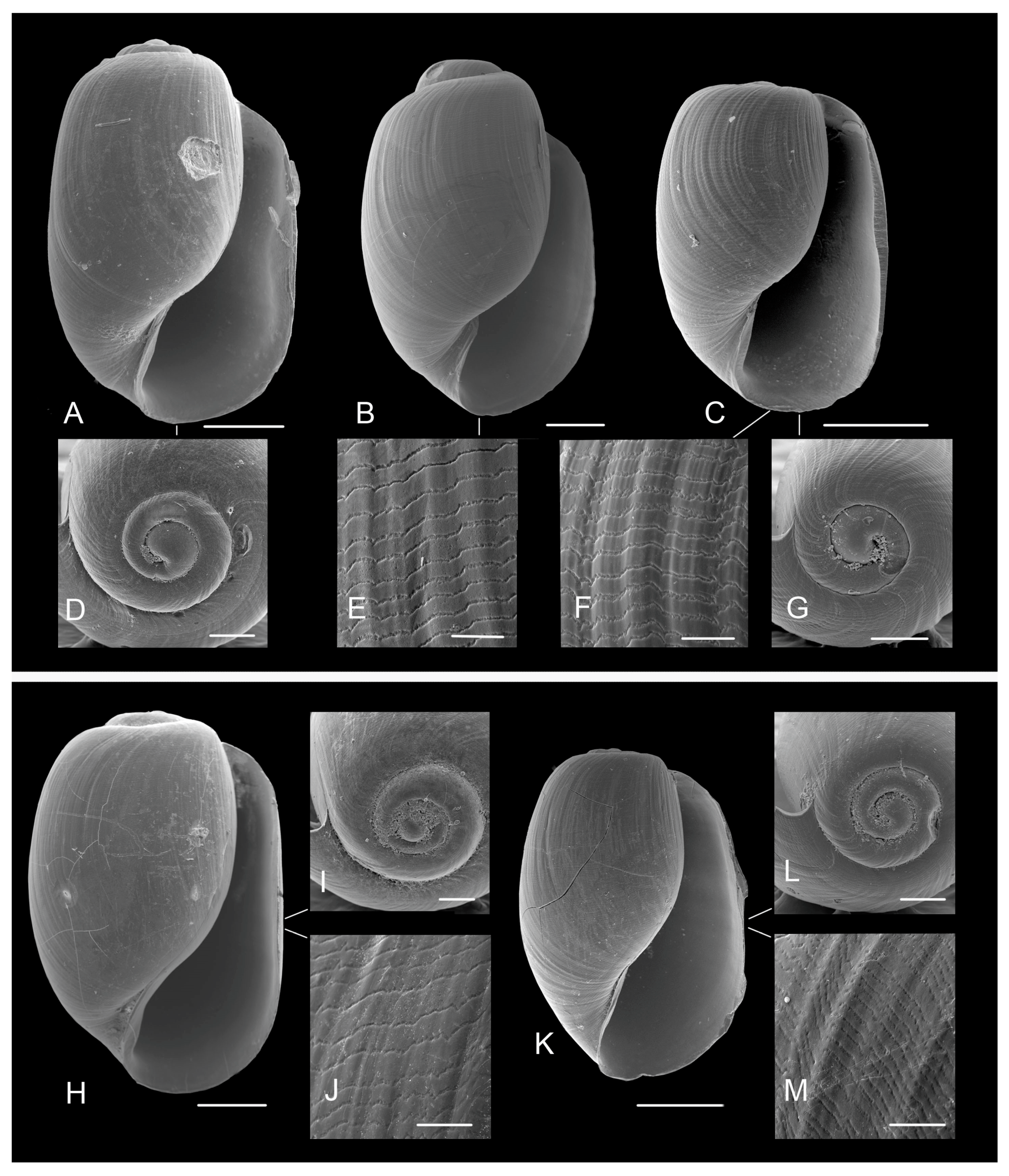 Diversity 15 00974 g007