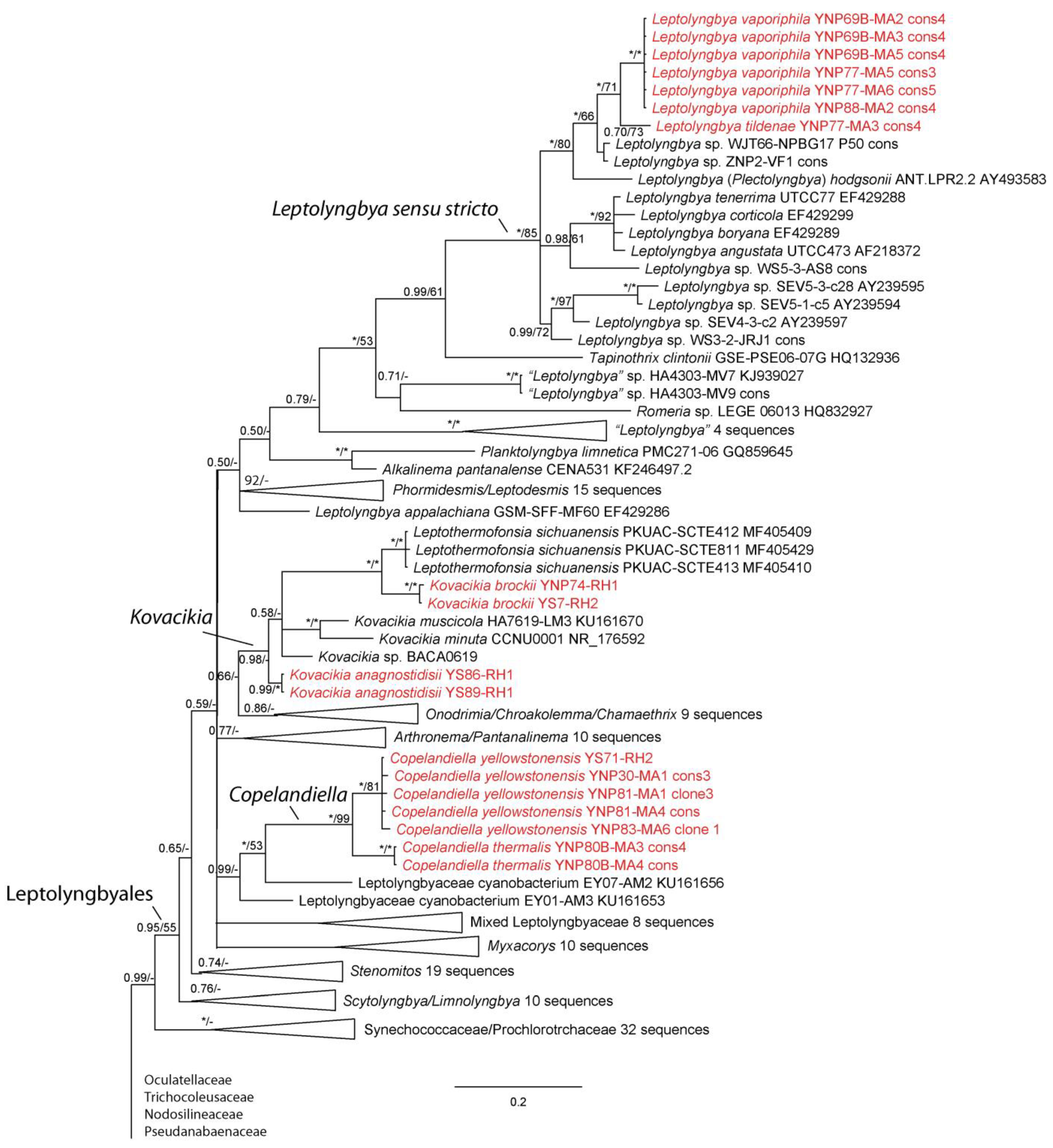 Diversity 15 00975 g002