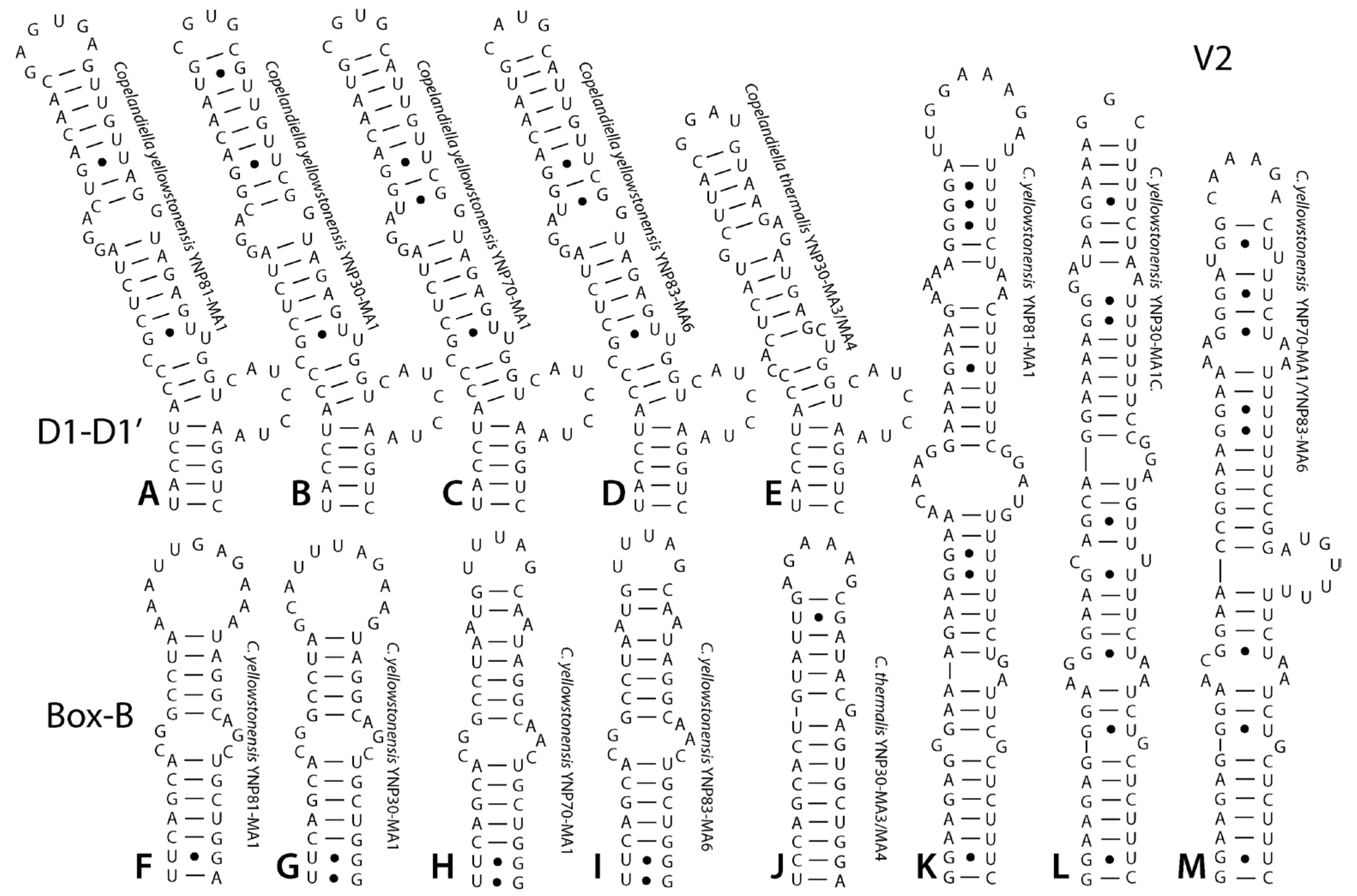 Diversity 15 00975 g006
