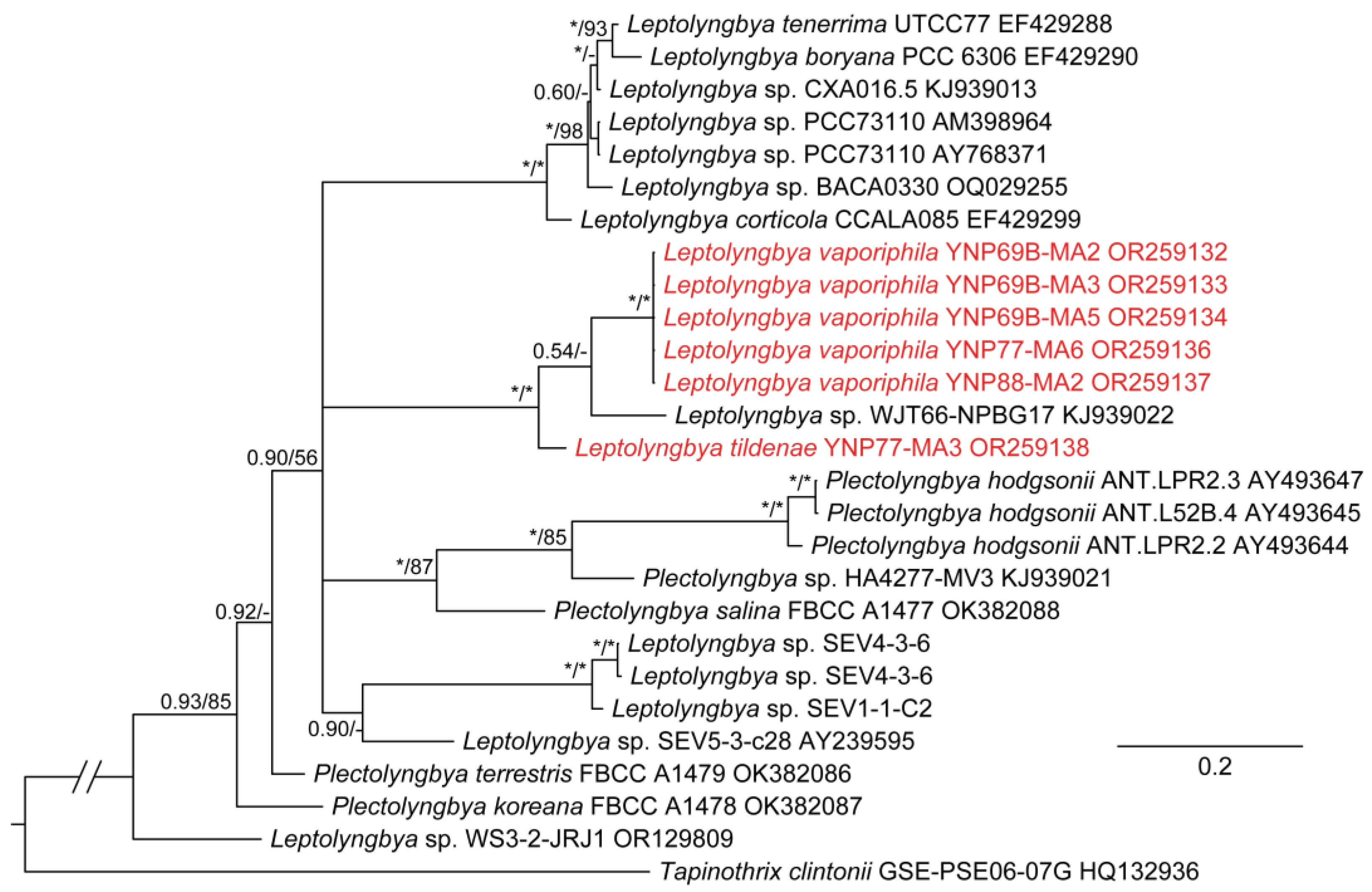 Diversity 15 00975 g011