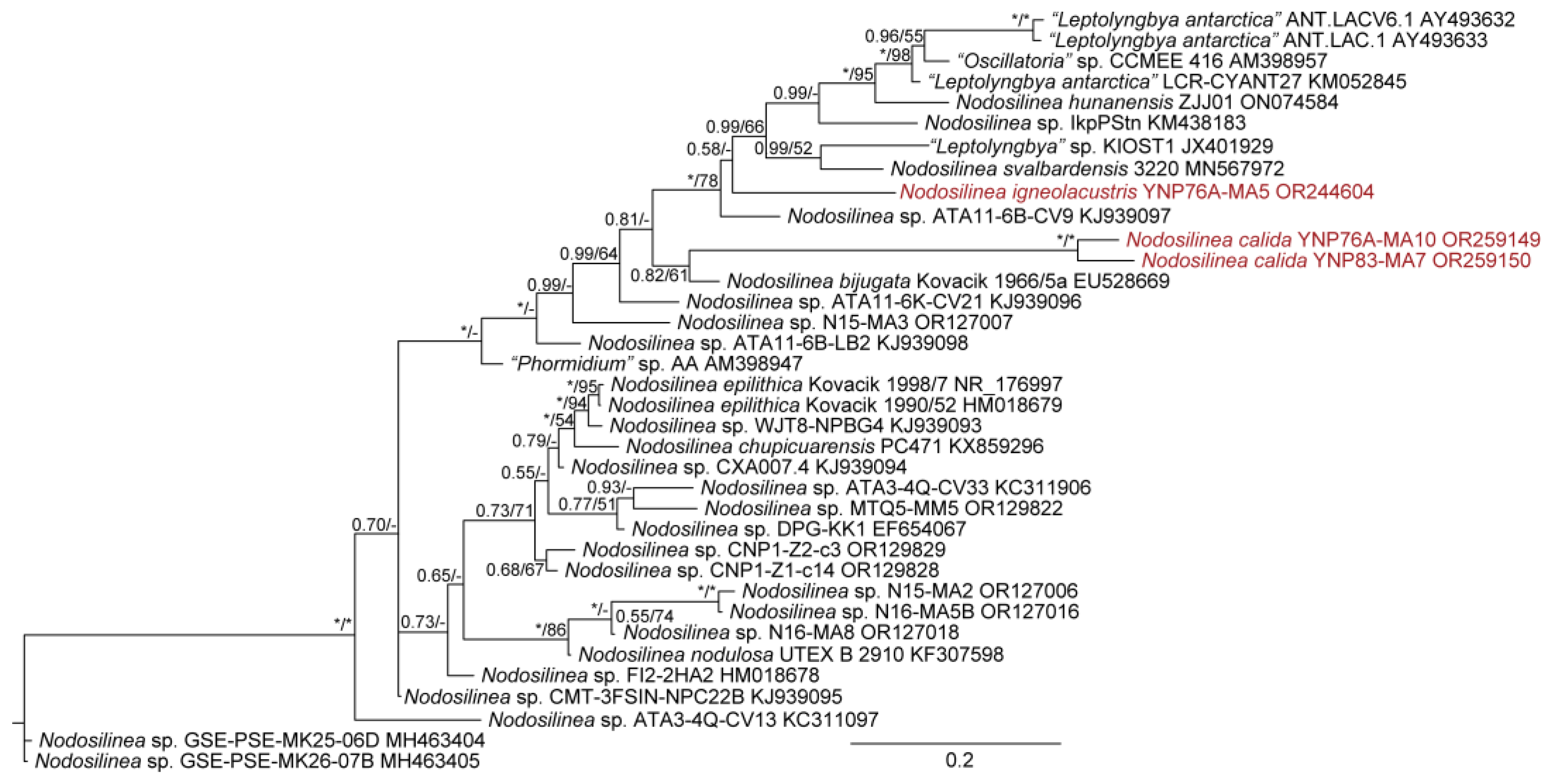 Diversity 15 00975 g017