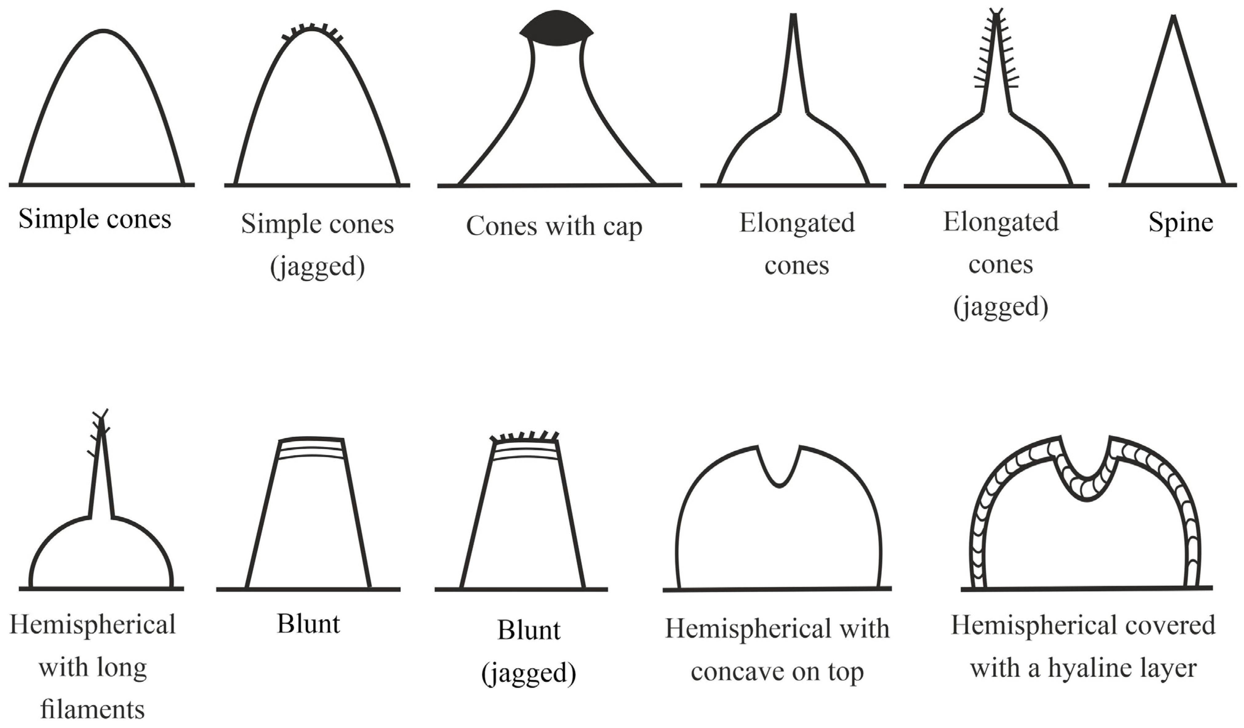 Diversity 15 00977 g001 Diversity 15 00977 g001