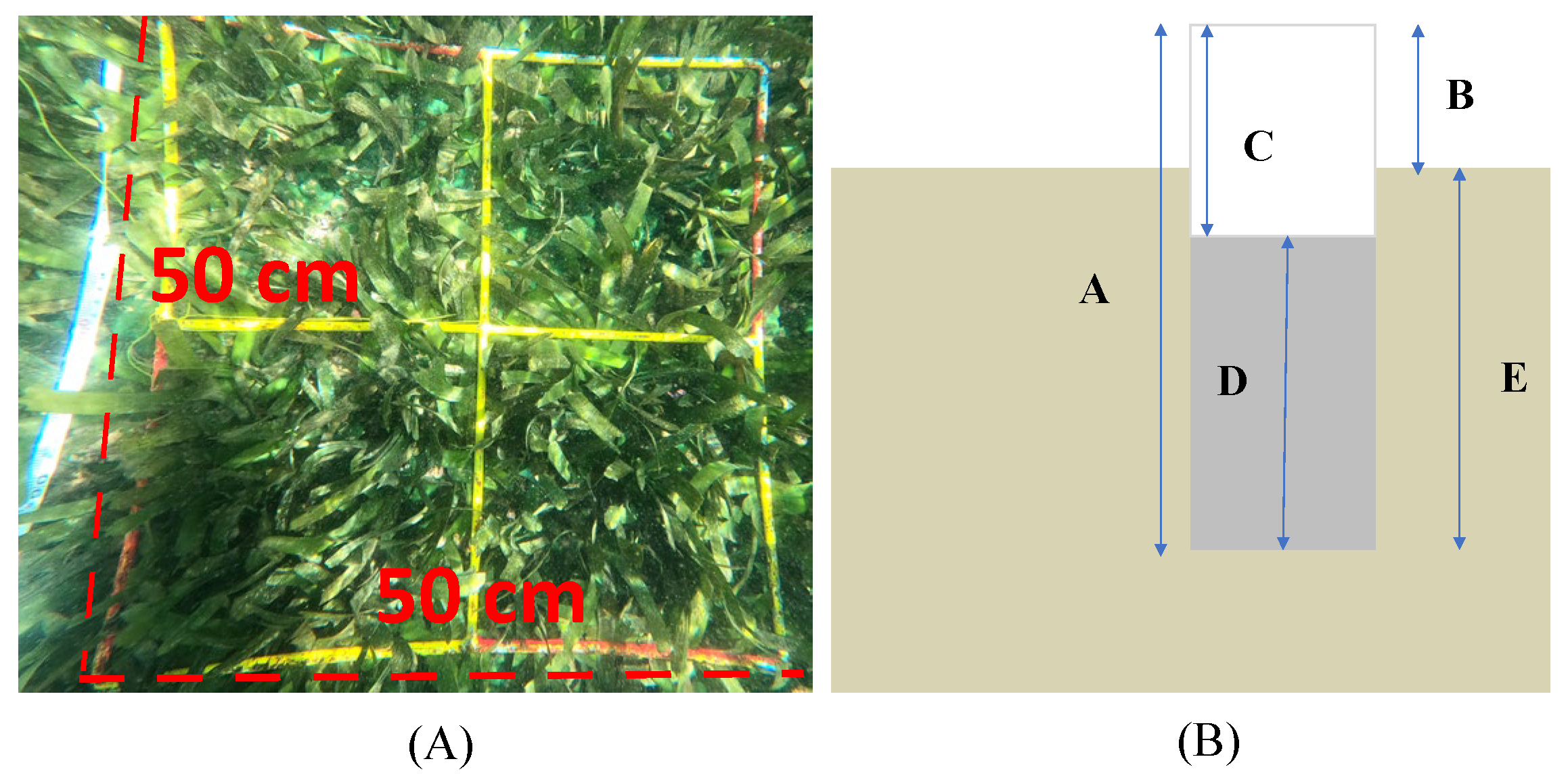 Diversity 15 00978 g002 Diversity 15 00978 g002