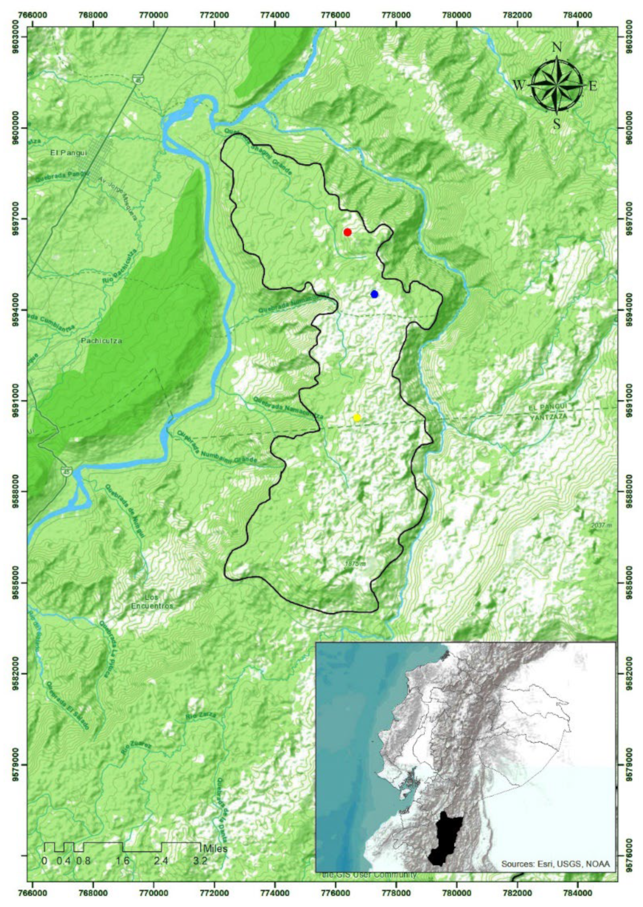 Diversity 15 00979 g001 Diversity 15 00979 g001