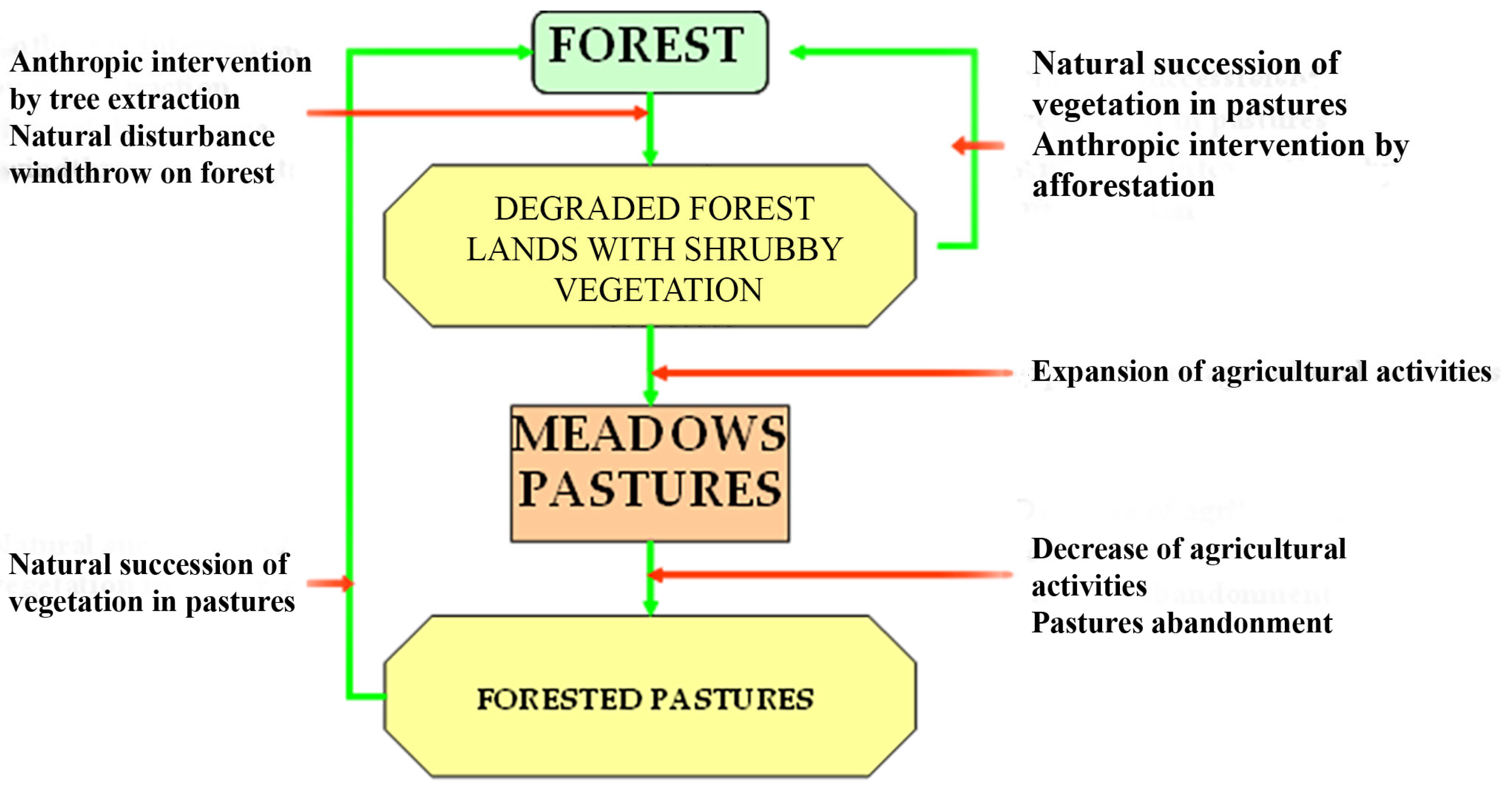 Diversity 15 00980 g010 Diversity 15 00980 g010