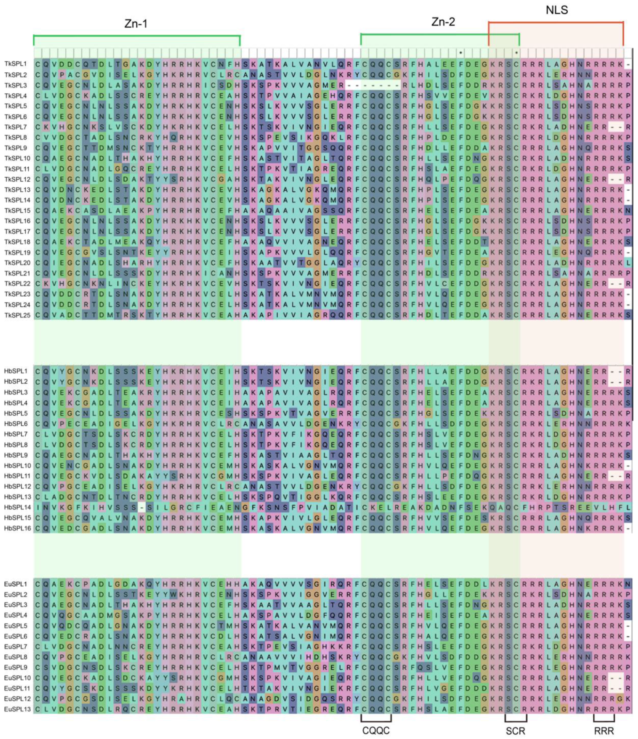 Diversity 15 00983 g003