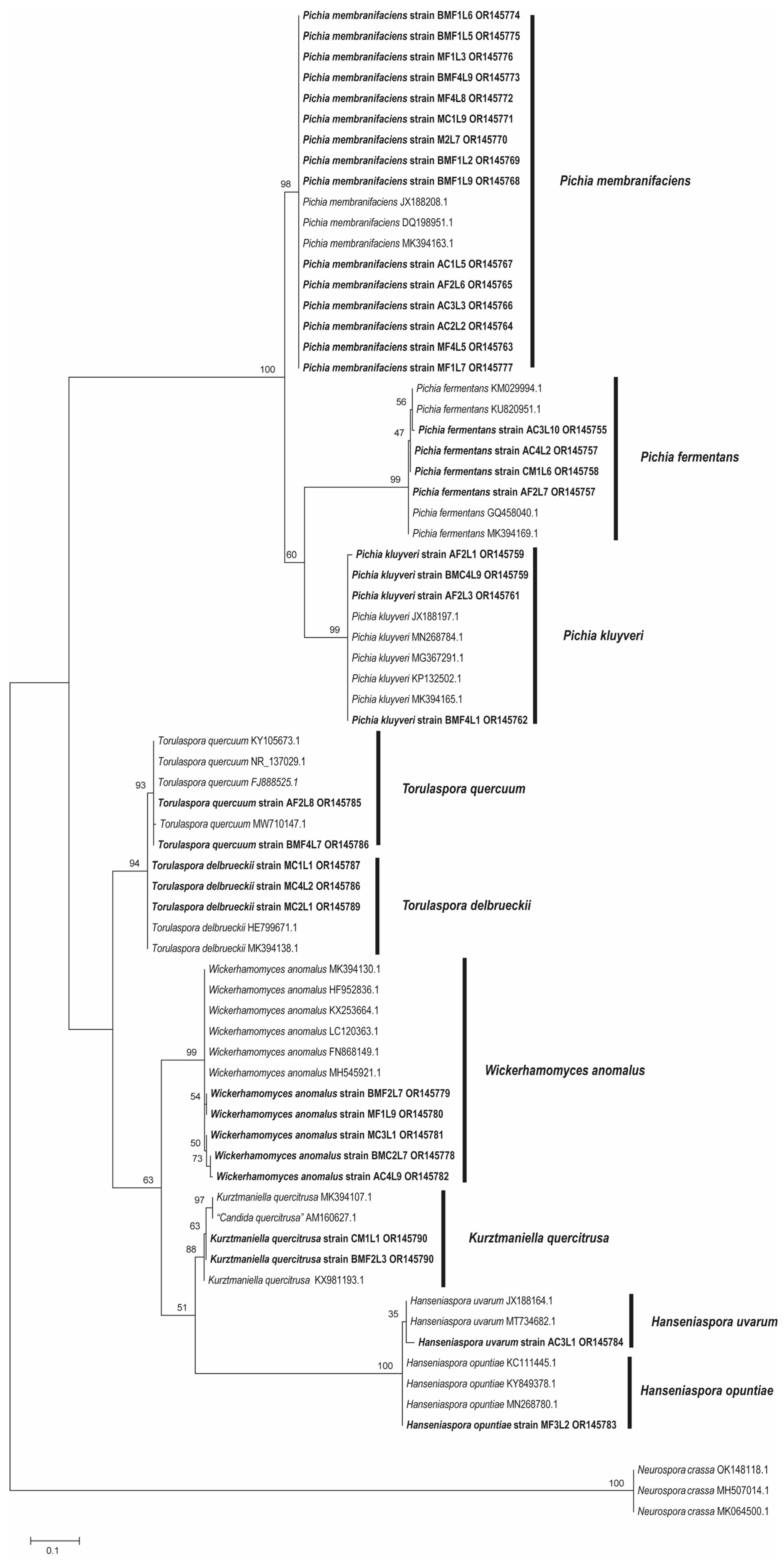 Diversity 15 00984 g006 Diversity 15 00984 g006