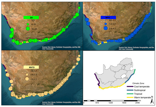 The Influence of Macroclimatic Drivers on the Macrophyte
