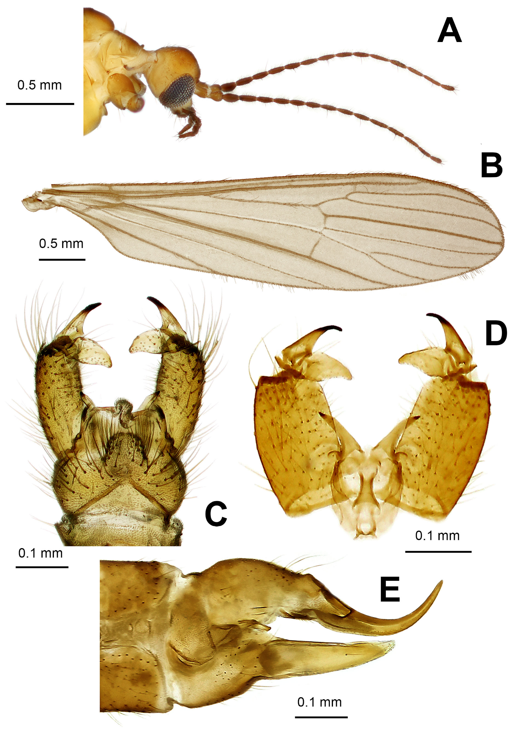 Diversity 15 00988 g007