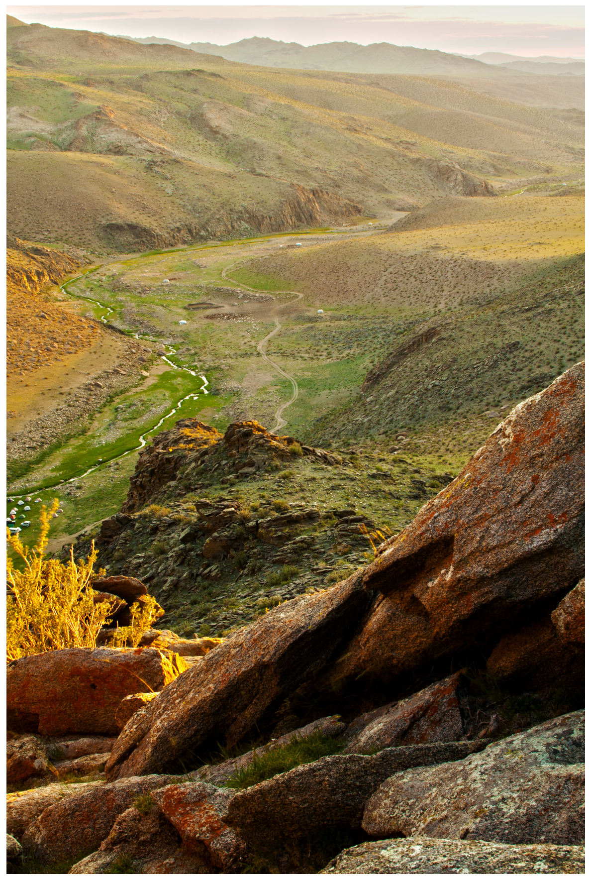 Diversity 15 00988 g010