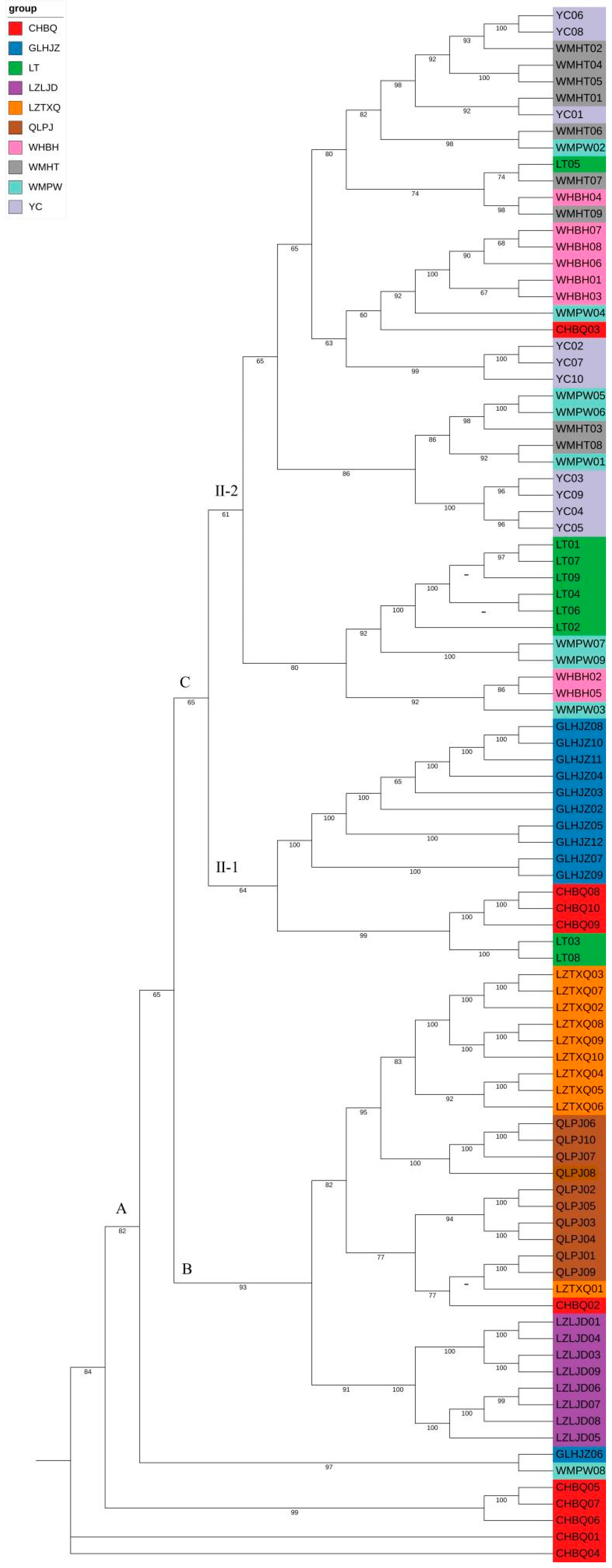 Diversity 15 00990 g004