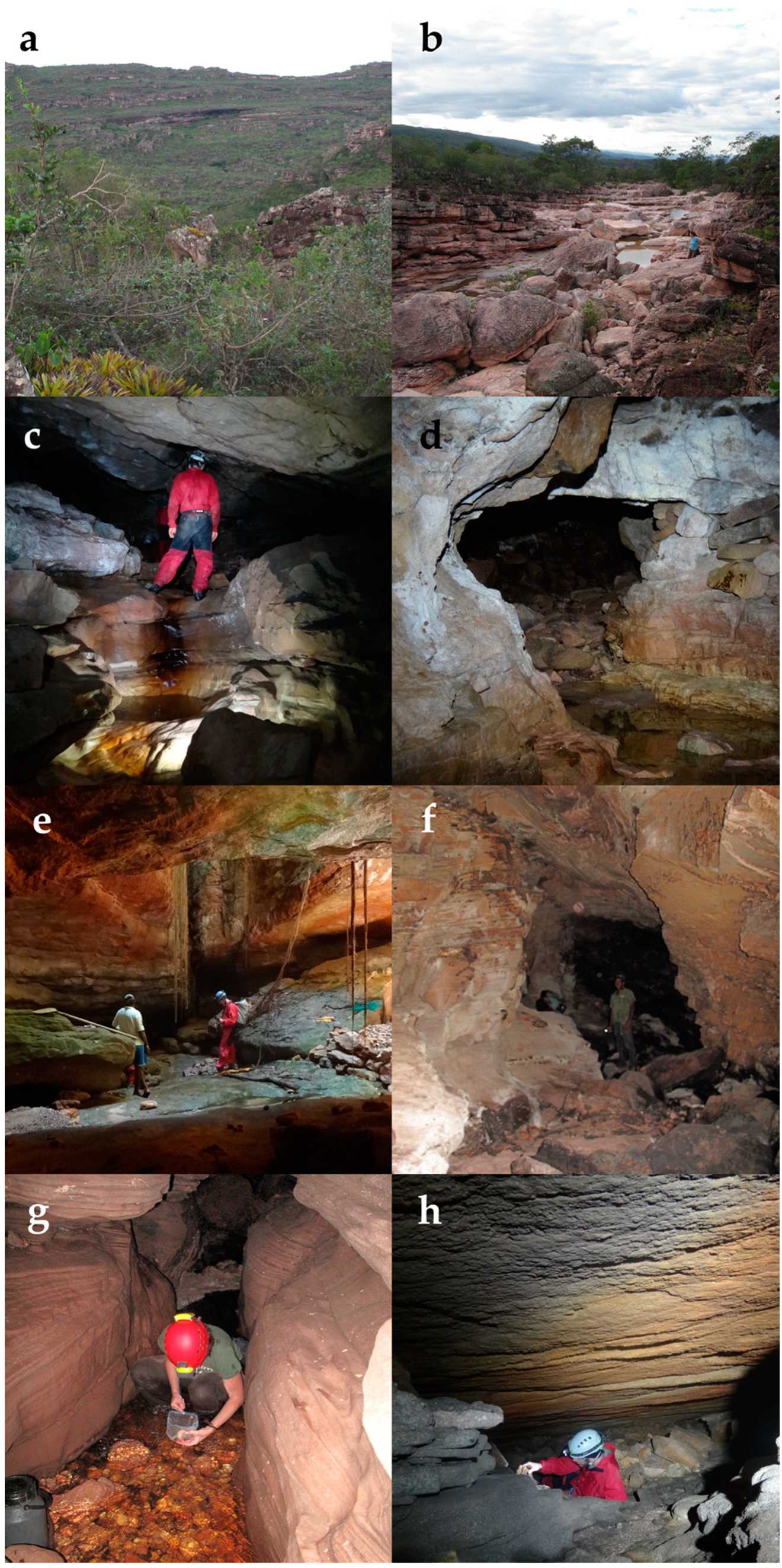 Diversity 15 00991 g003 Diversity 15 00991 g003