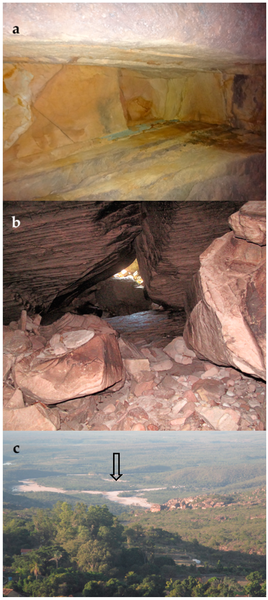 Diversity 15 00991 g004 Diversity 15 00991 g004