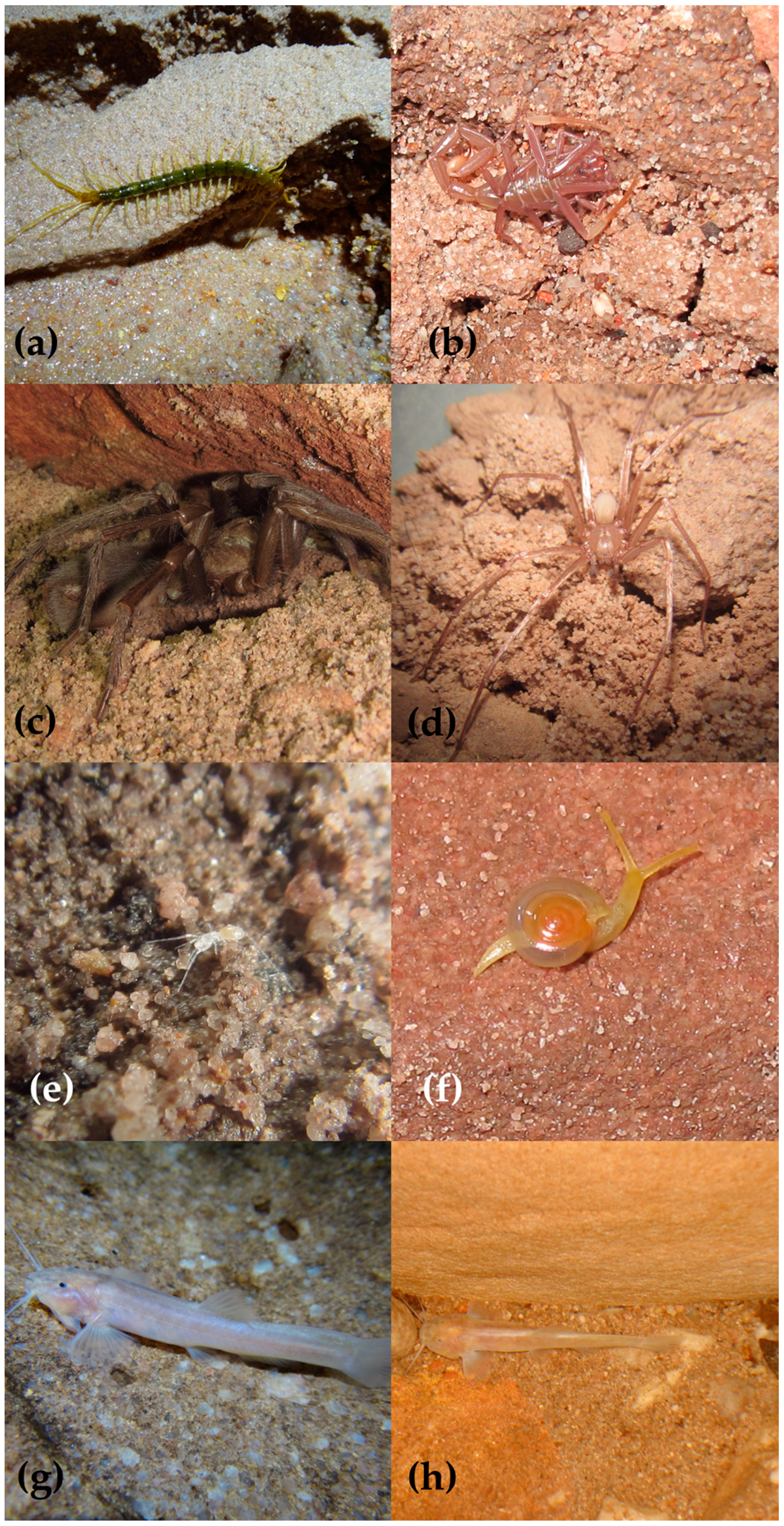 Diversity 15 00991 g005 Diversity 15 00991 g005