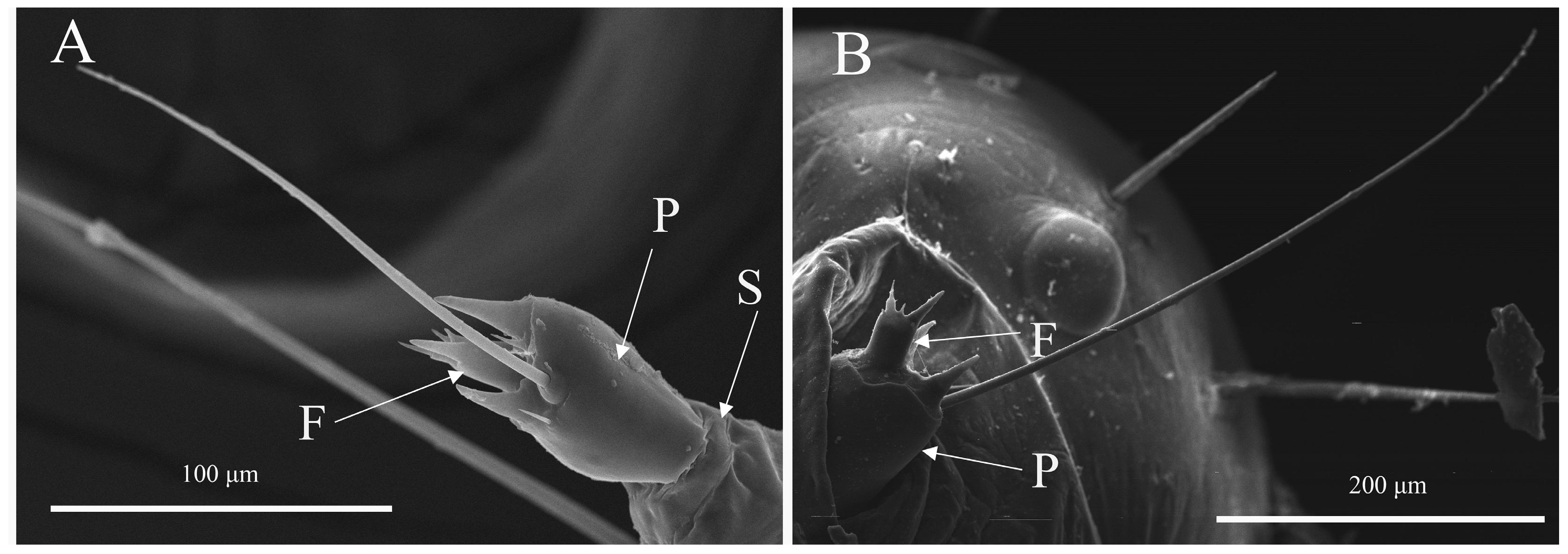 Diversity 15 00992 g001