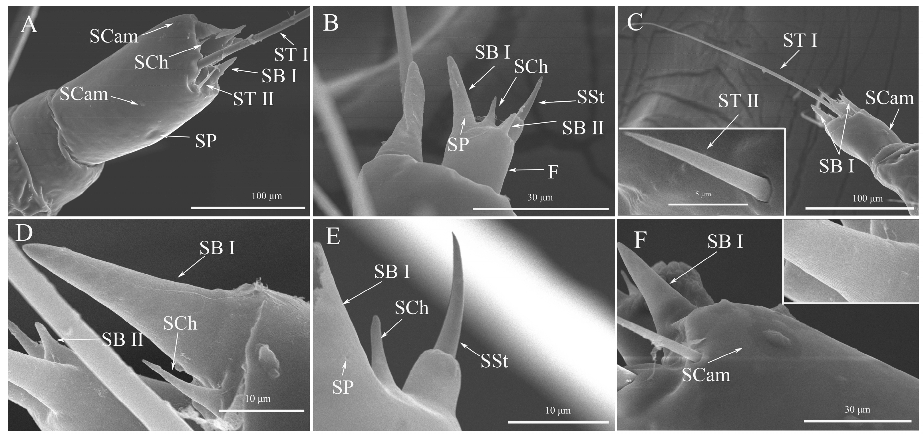 Diversity 15 00992 g002