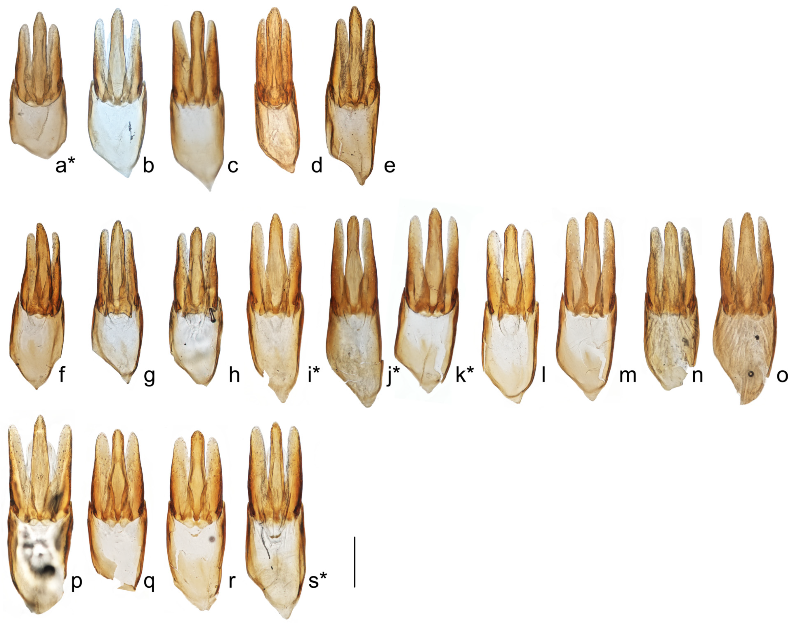 Diversity 15 00994 g003 Diversity 15 00994 g003