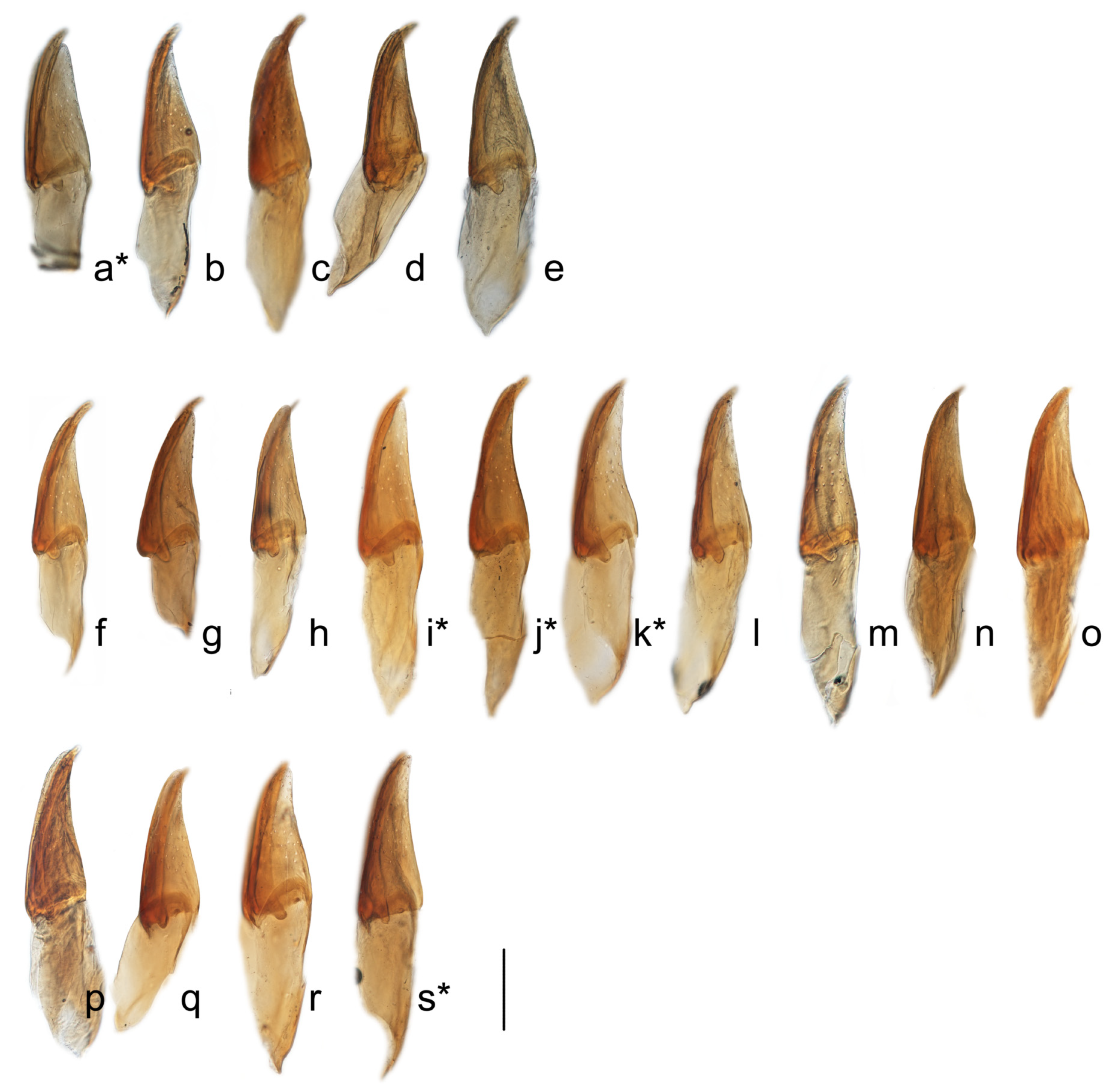 Diversity 15 00994 g004 Diversity 15 00994 g004