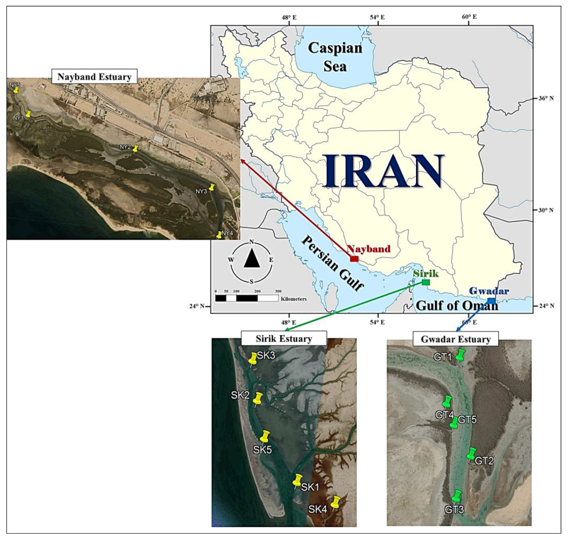 Diversity 15 00998 g001 Diversity 15 00998 g001