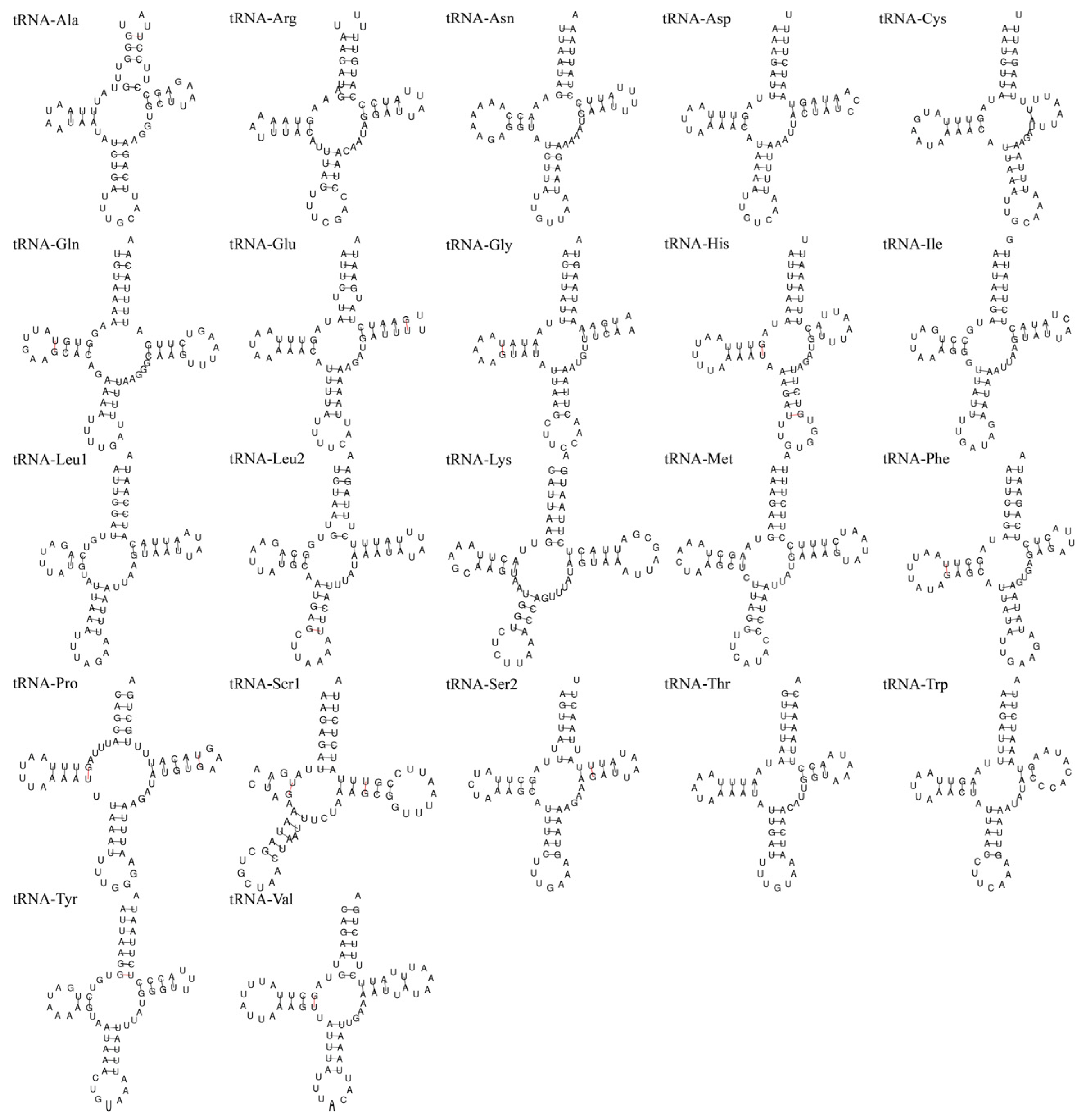 Diversity 15 01002 g006