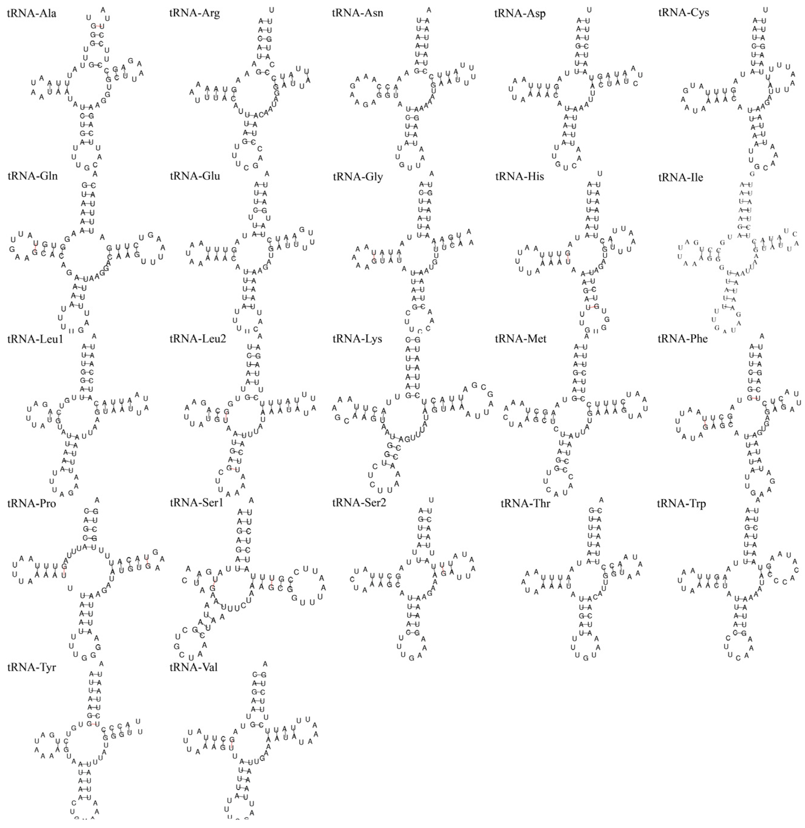 Diversity 15 01002 g008