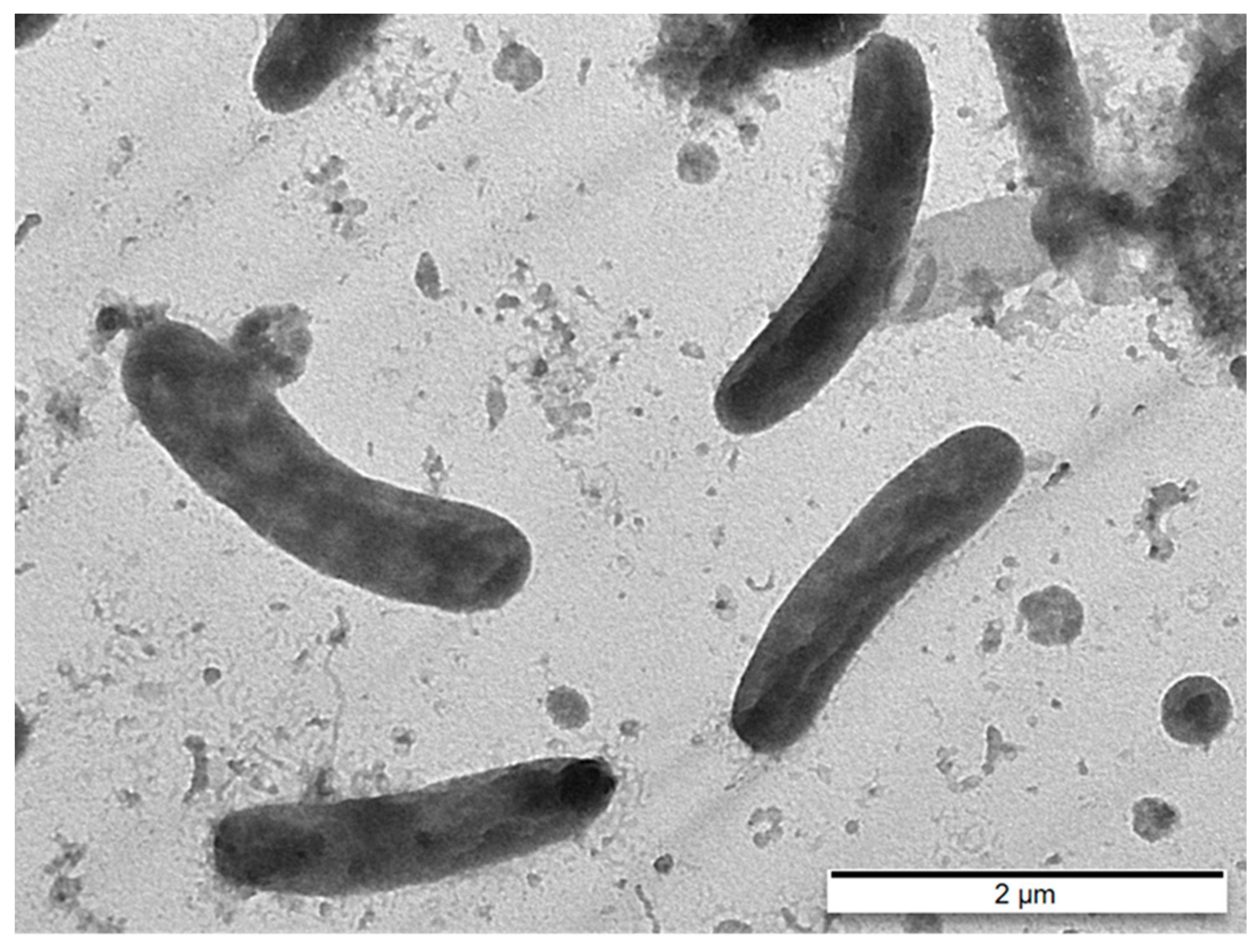 Diversity 15 01004 g005 Diversity 15 01004 g005