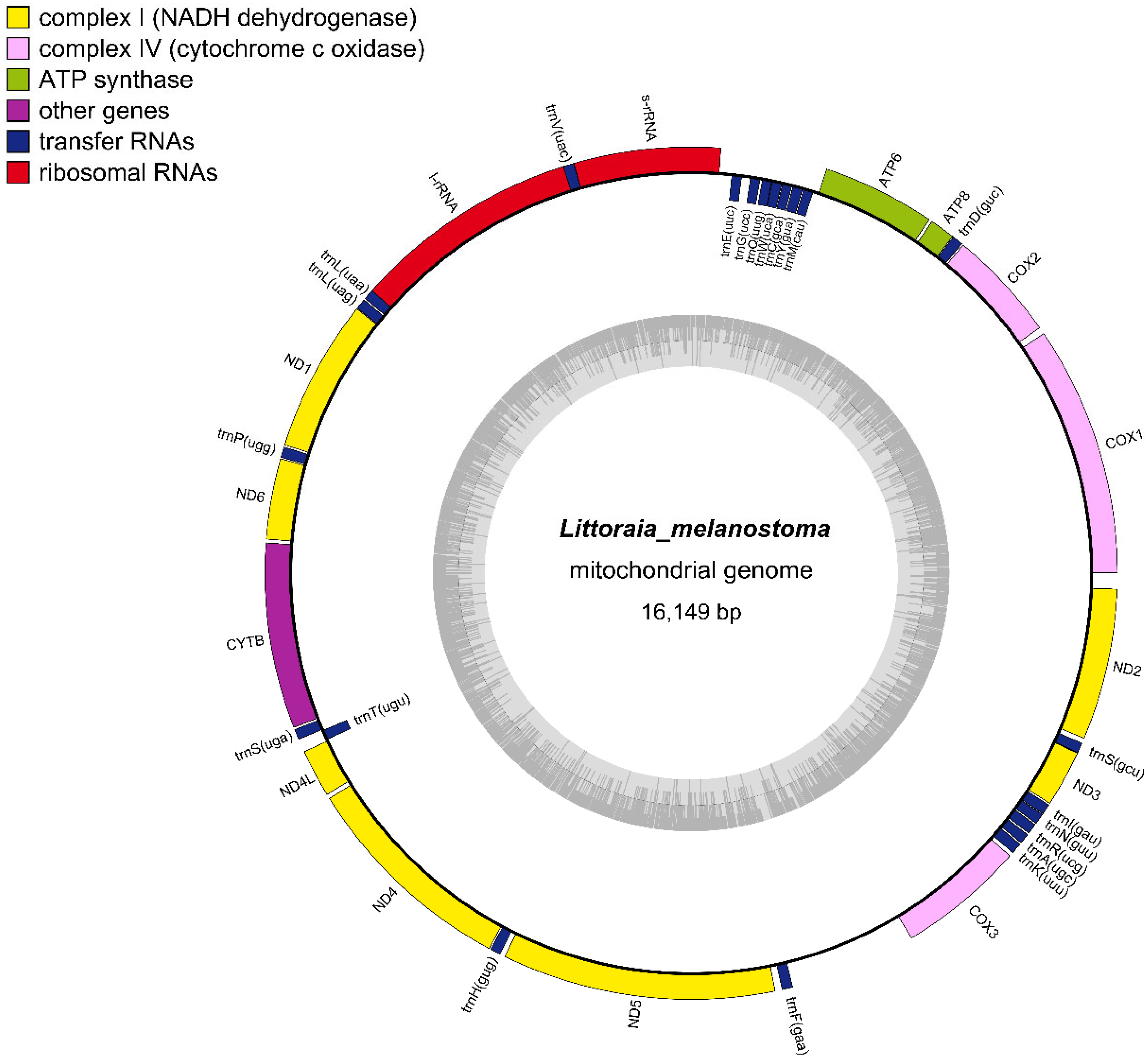 Diversity 15 01005 g002