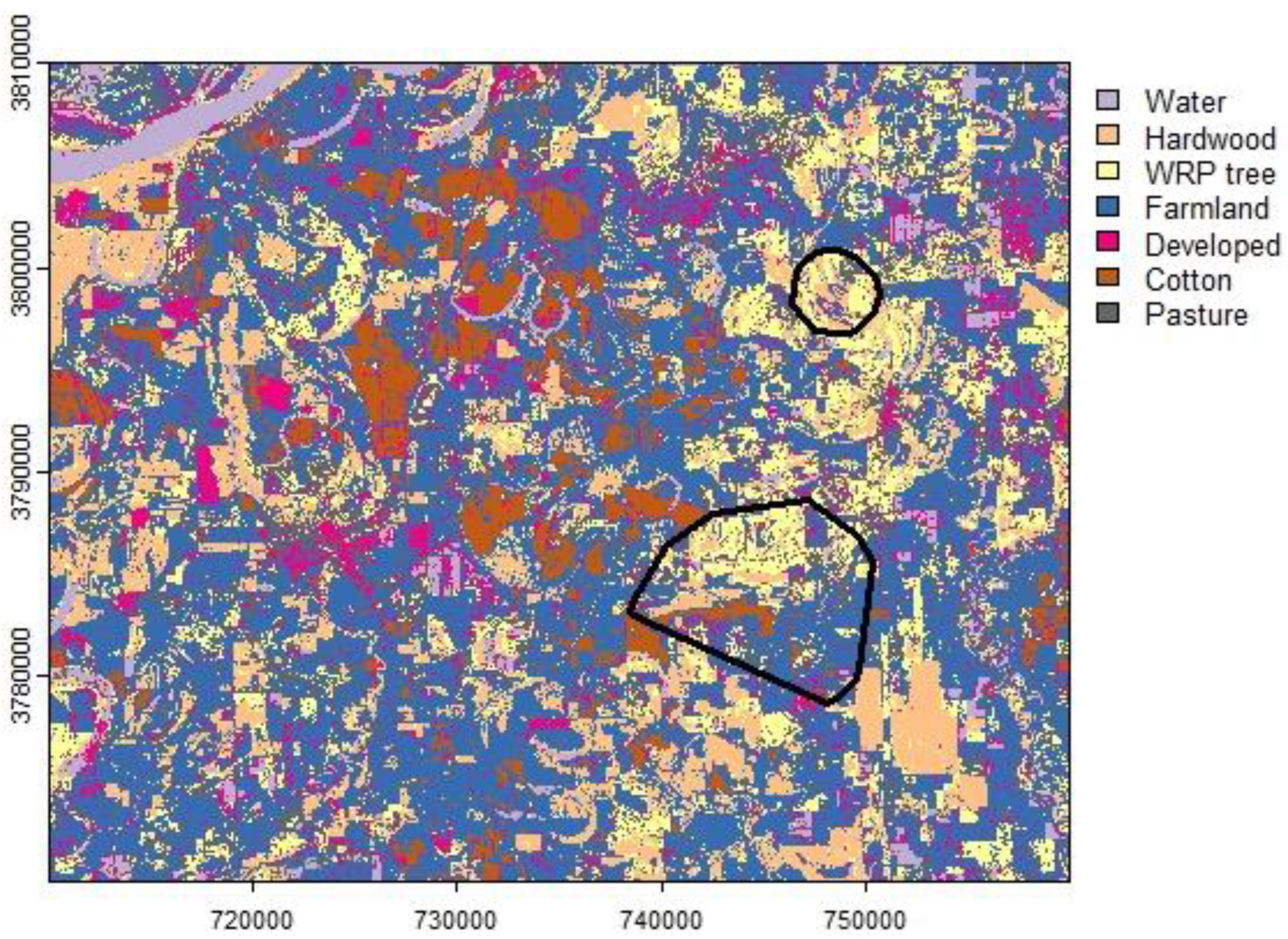 Diversity 15 01007 g001