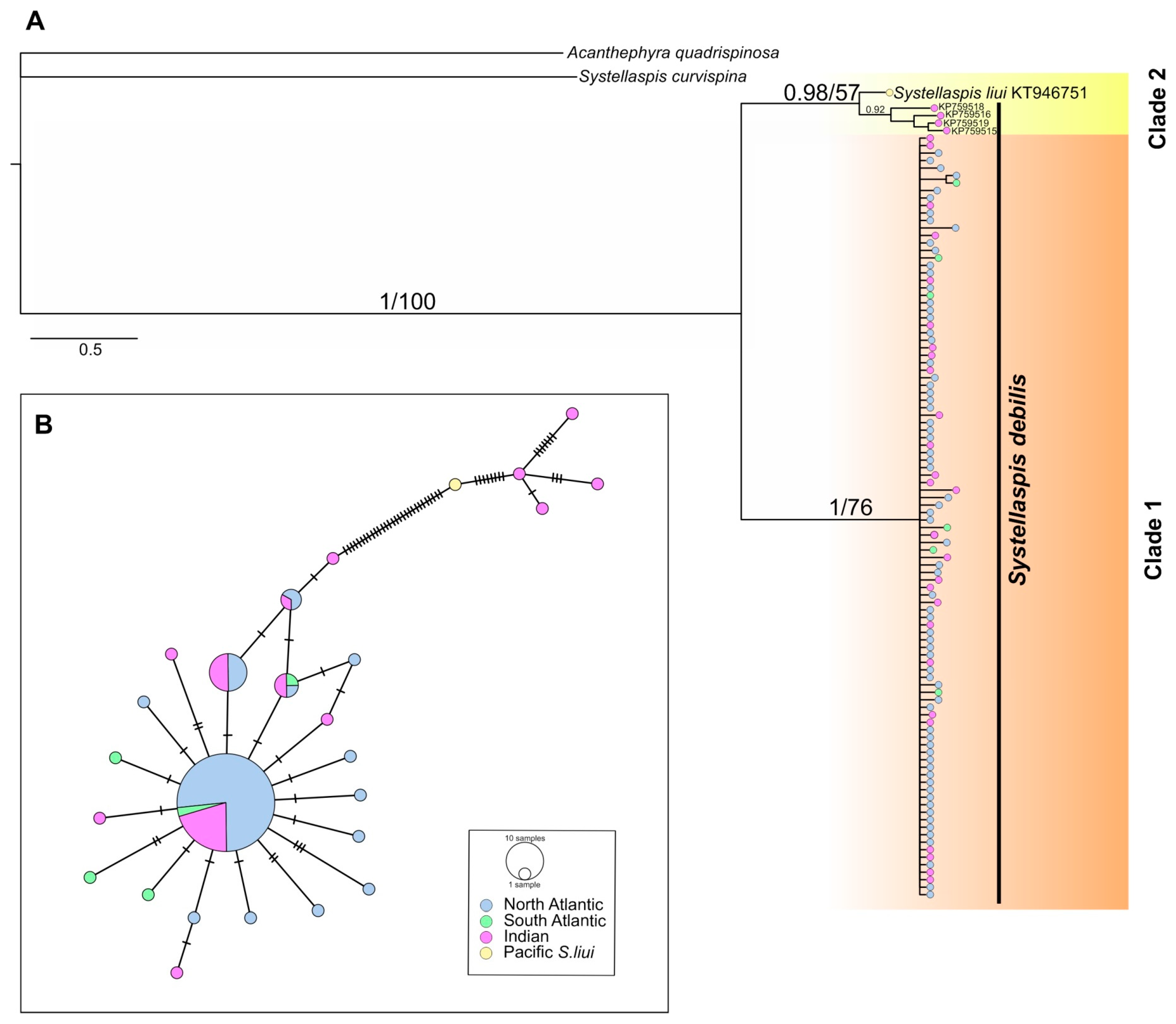 Diversity 15 01008 g003